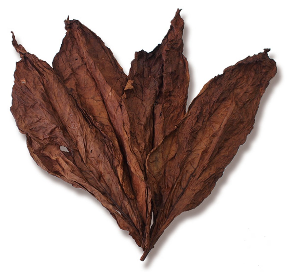 El Mariel cigar wrappers (pack of 1)