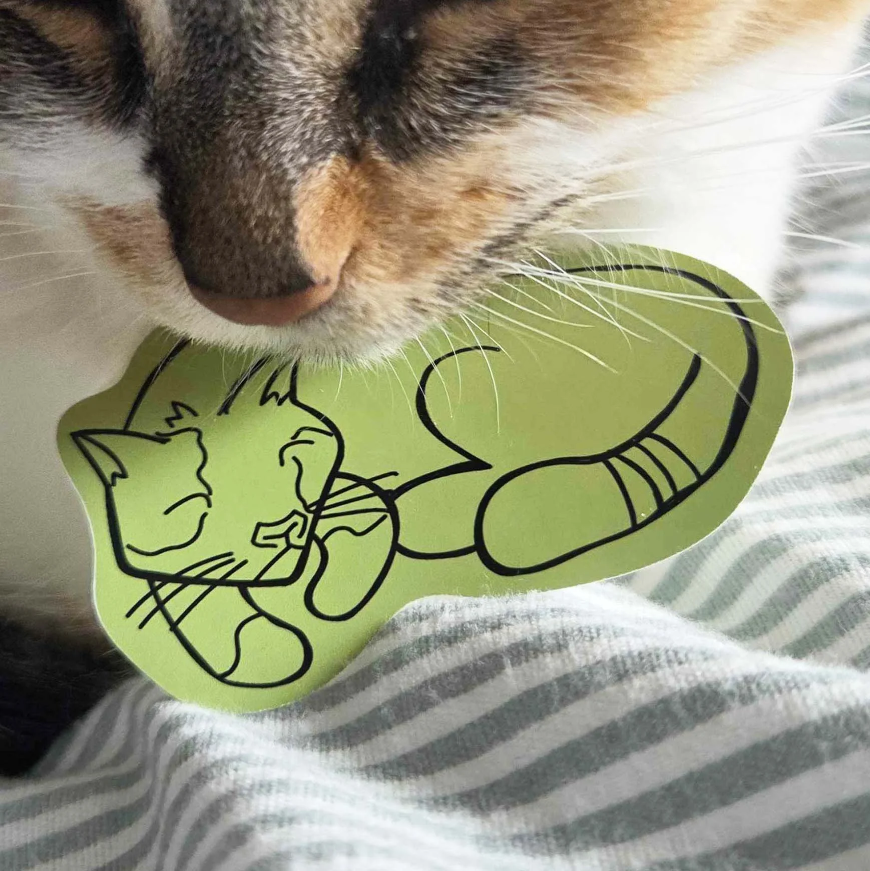 Cat Take Care With Love JUMBO