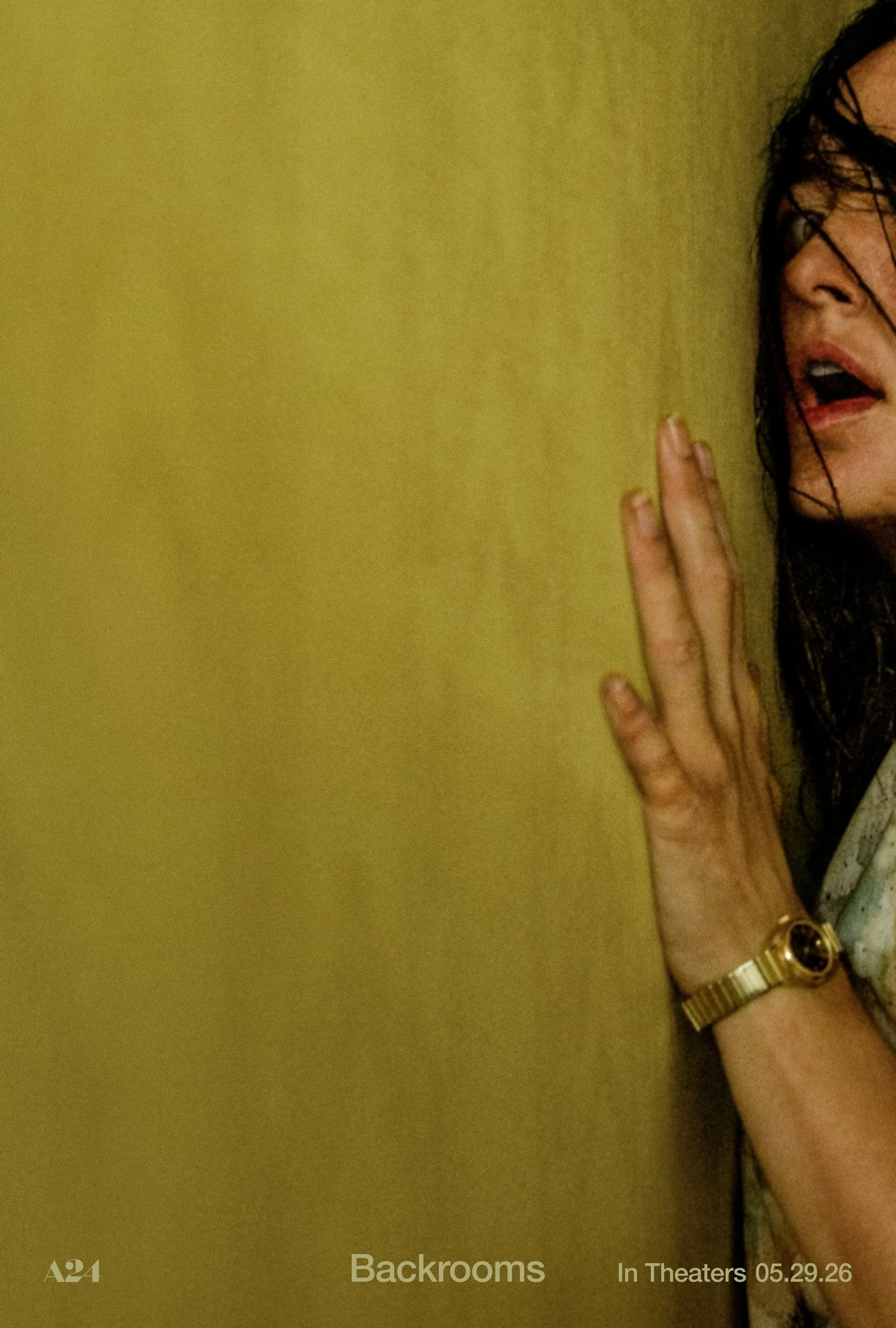 BACKROOMS_Digi_1-Sheet_2025x3000_Renate_W7_FIN05.jpg