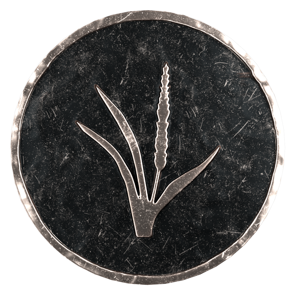Caralain Grass