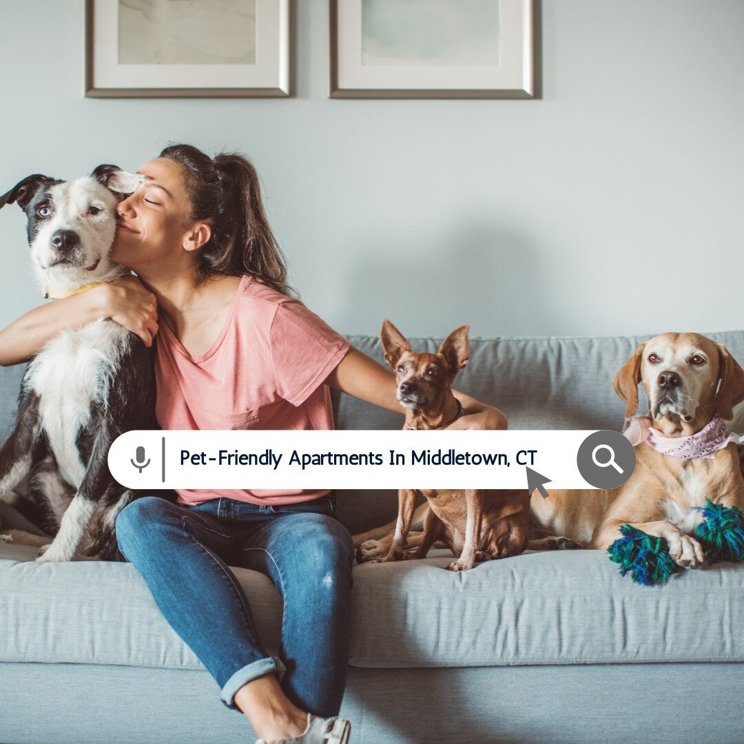 Pawsitively purrfect living awaits! Come tour our pet-friendly community and unleash a world of wagging tails and furry friendships 🐾

#furrealliving #petfriendlyct #ctliving #connecticut #northwoodsapts #connecticutapartments #connecticuthome #conn