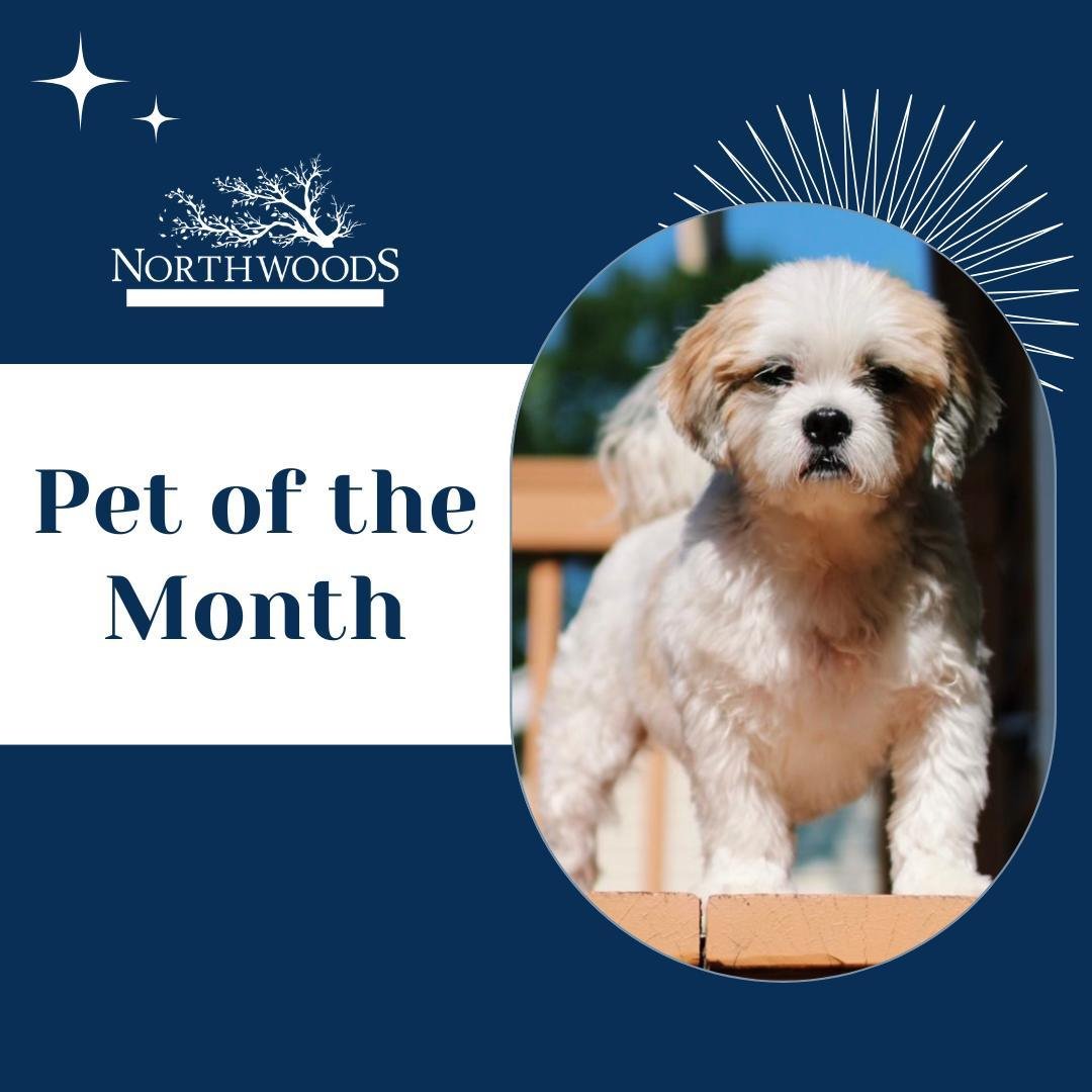 🌟🐾 Pet of the Month! 🐾🌟

Meet this adorable superstar! ✨ Let&rsquo;s keep the pet love going! We want to see your furry friends too! Share your pets' photo, name, and their favorite activity or place to hang out in Community Rewards. Let's create