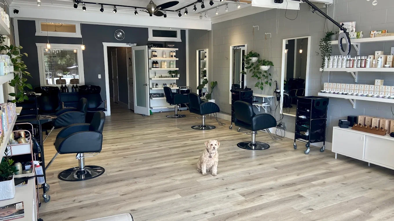 Angele's Extensions Locks and Lashes.webp