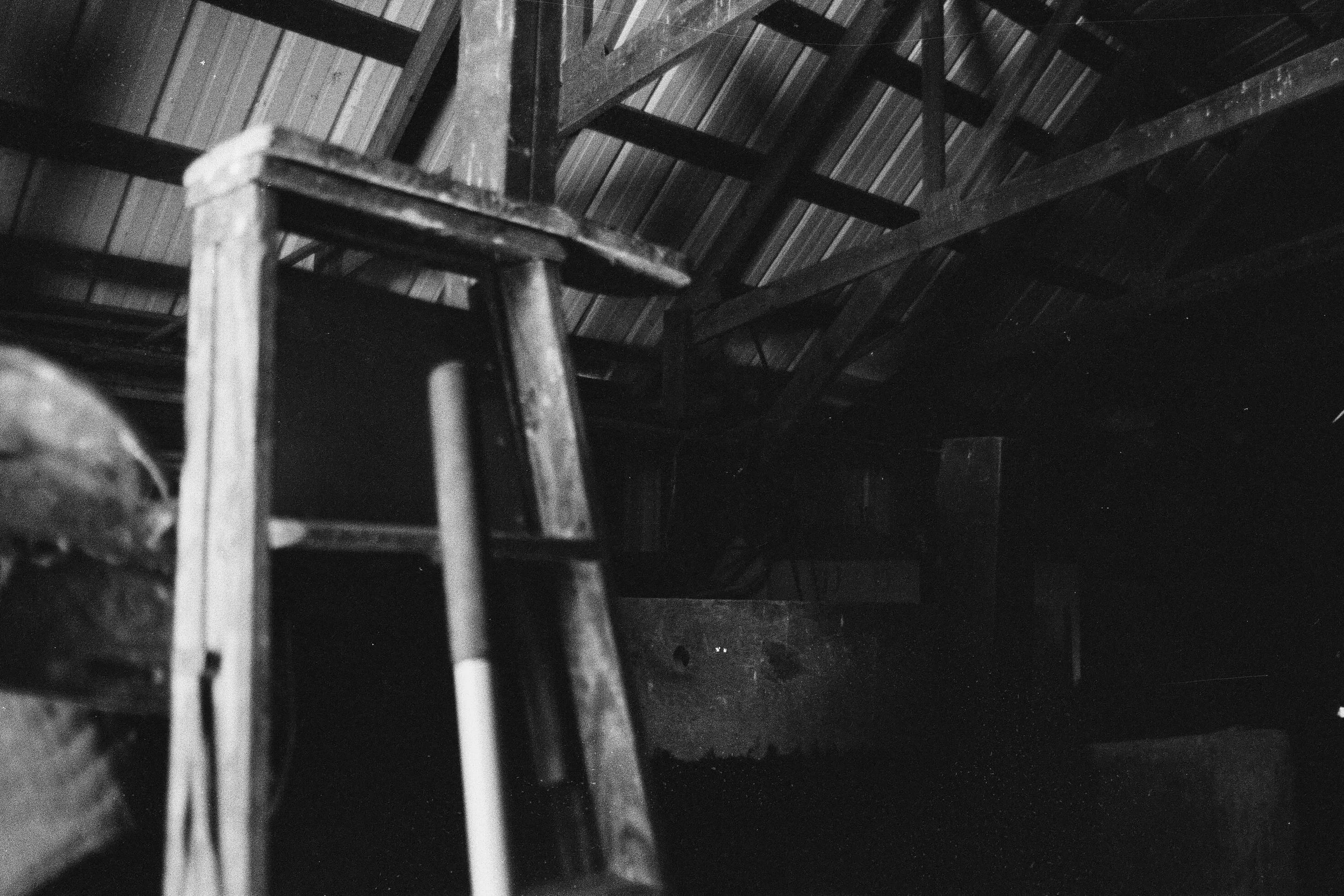 BARN LADDER
