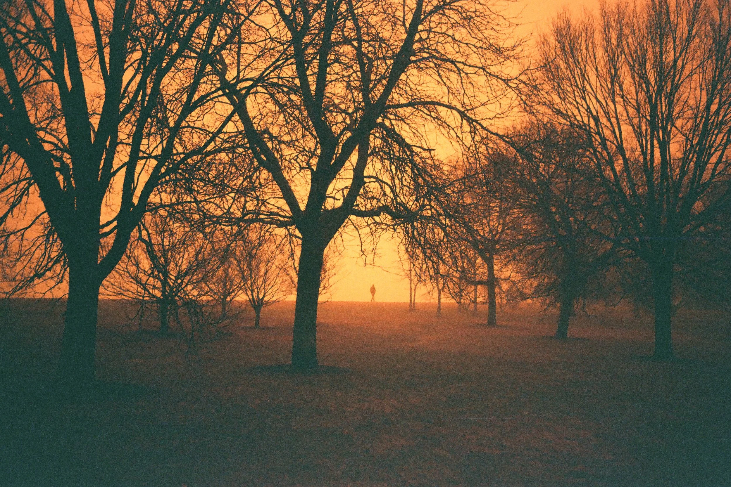 Foggy Redscale