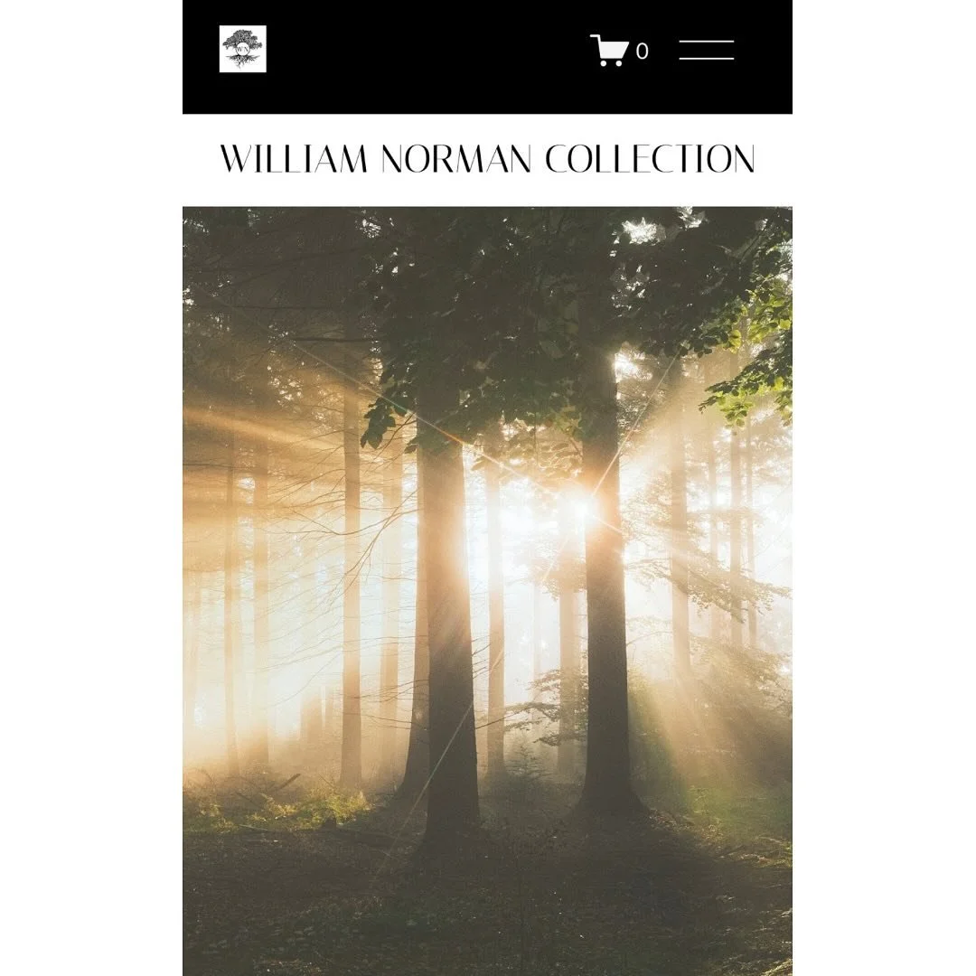EXCITING NEWS @williamnormancollection has a WEBSITE!!!!Somewhere you can explore, go on an adventure. Imagine the possibilities!! In this space you will find different colours, textures, and mediums. Enjoy visualizing the vibes!

Williamnormancollec