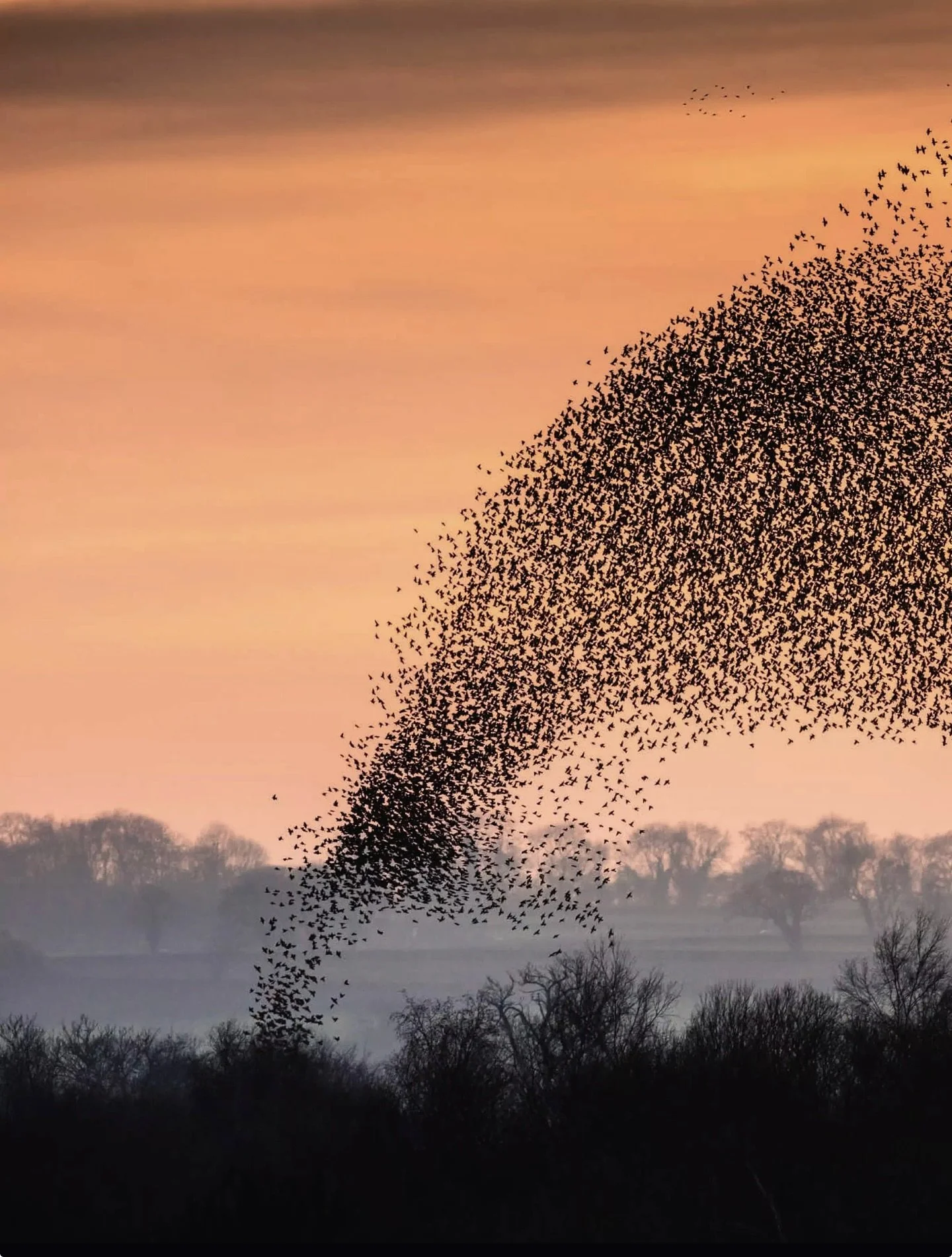 Are you perpetually torn between the aesthetic of the quintessential English countryside - the forests, and oak trees and on the other hand the golden beaches and palm trees of far off lands like I am? 

Everyone should get to see a stunning British 