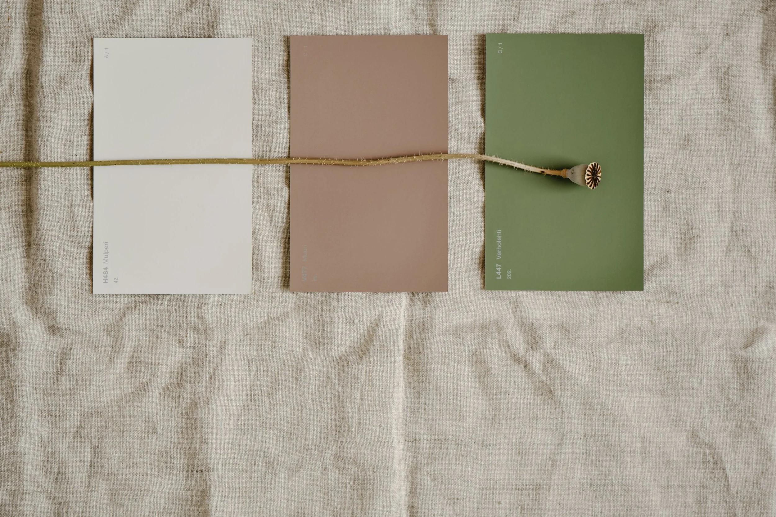 Three color swatches on textured fabric with a dried flower laid across the middle
