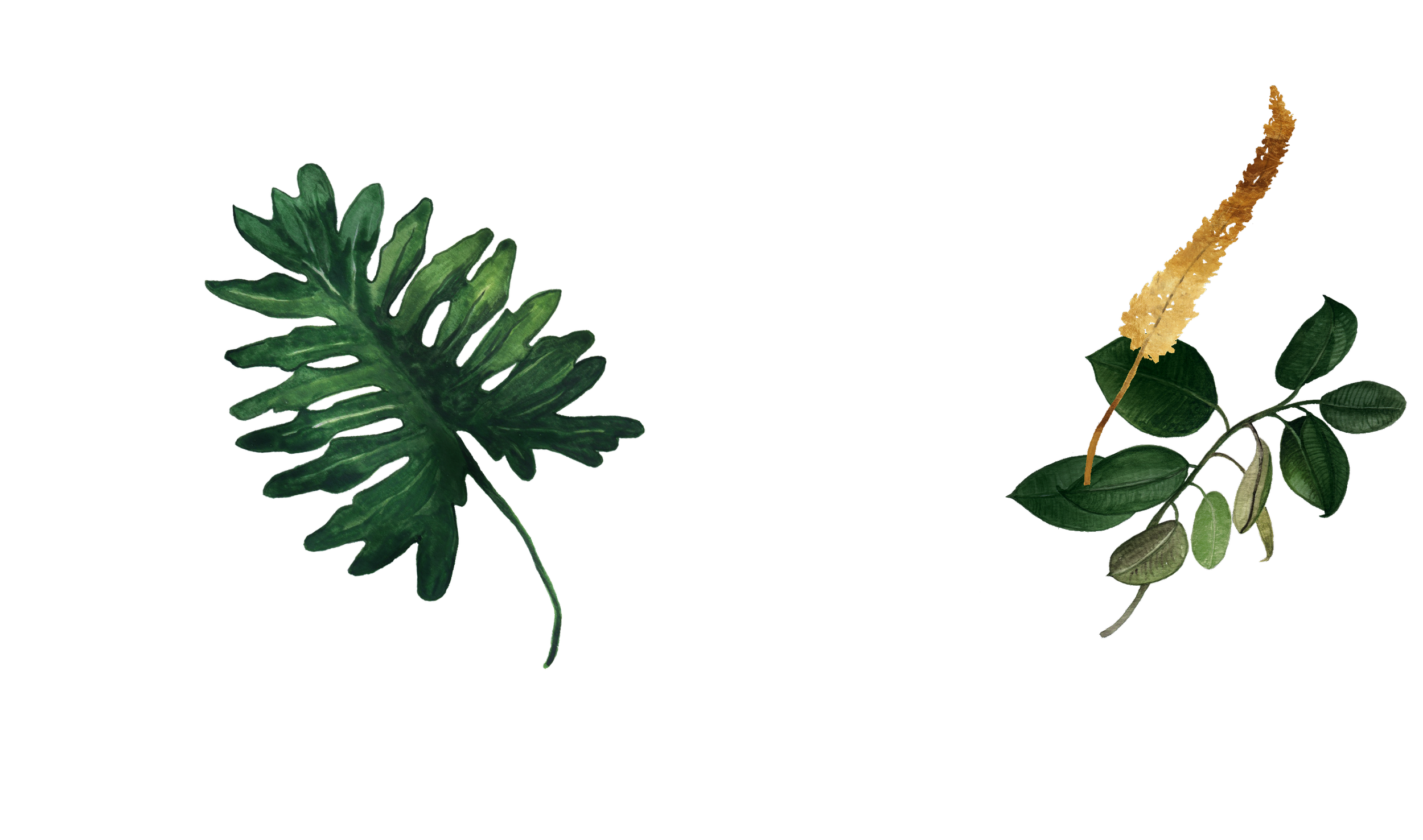 A collection of various green leaves and plants with a small yellow flower stem.