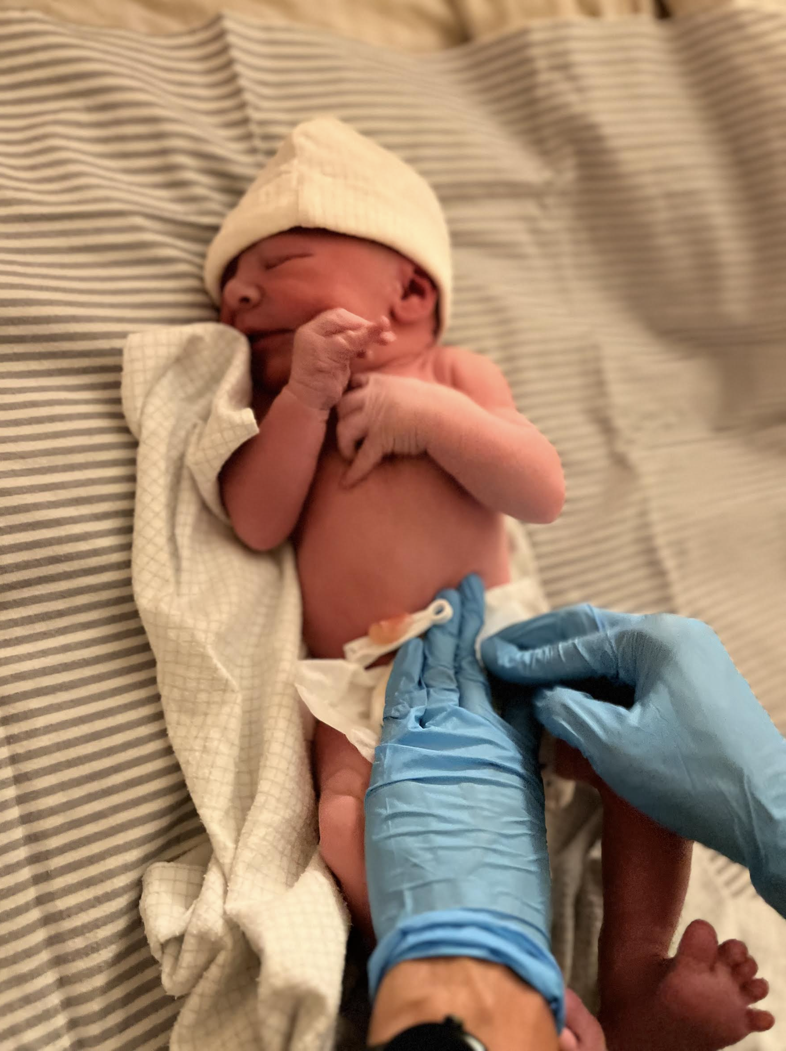 Screenshot 2024-11-07 at 3.36.46 PM.png