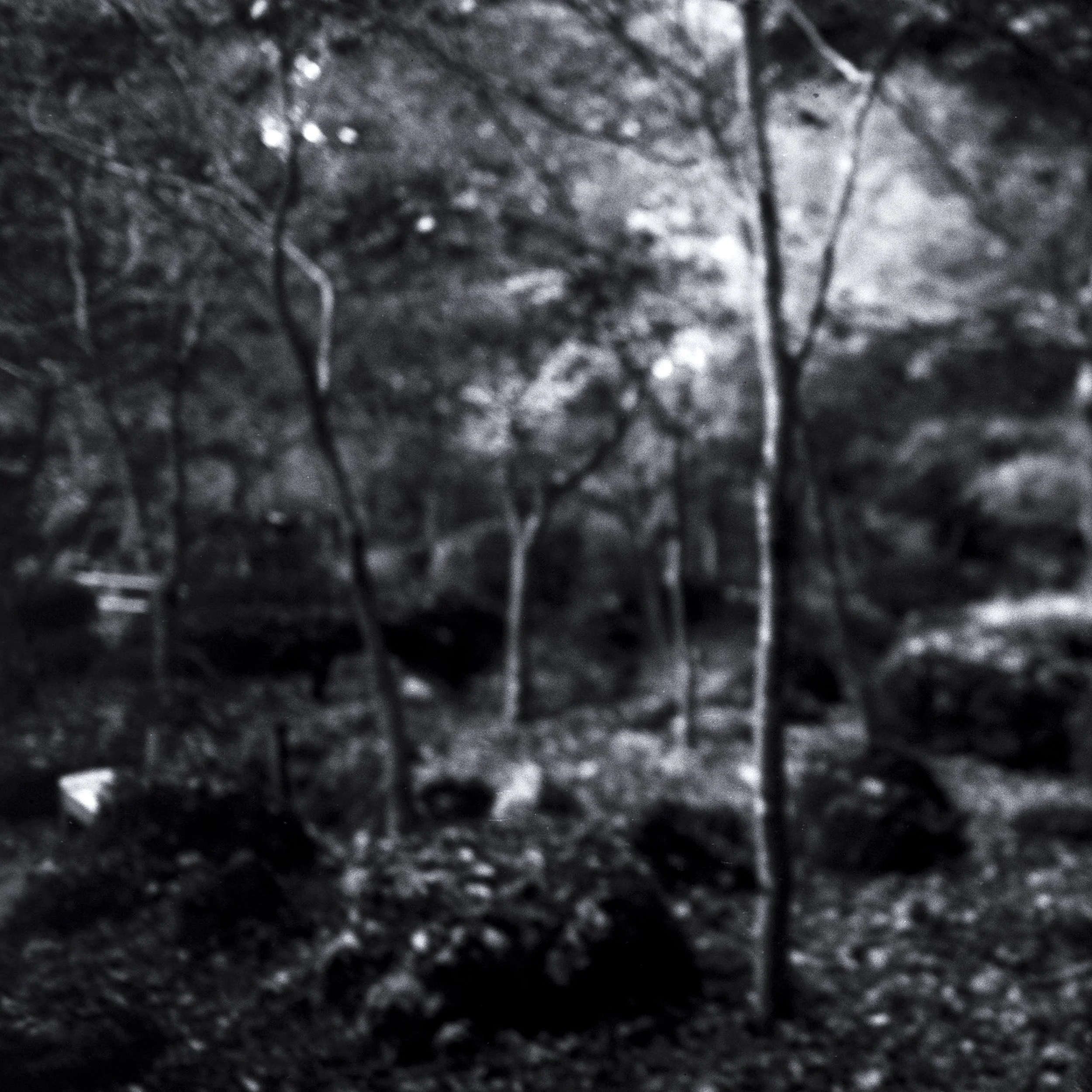 0006.1.028-1152-Edit.jpg