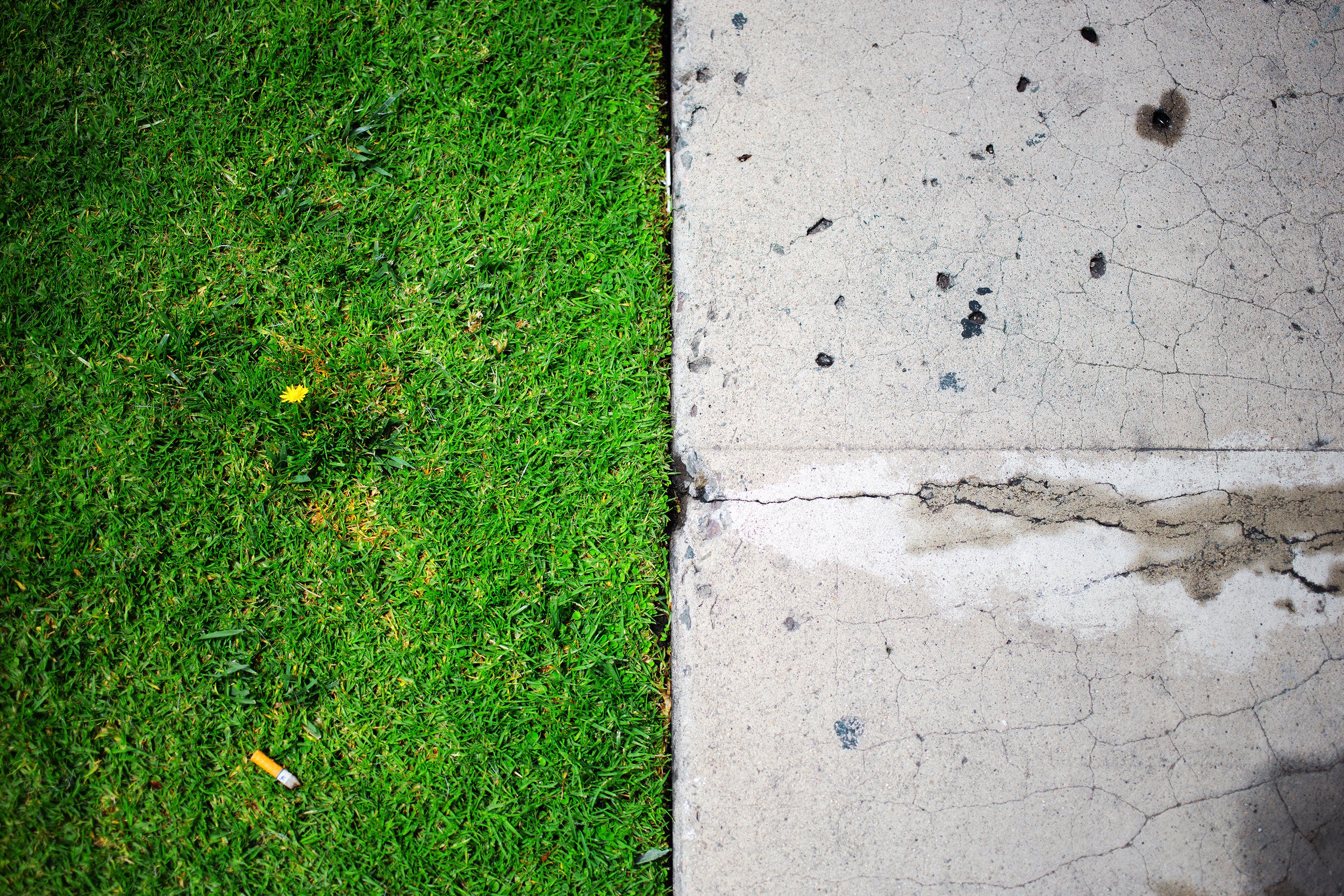 Grass // Los Angeles, CA