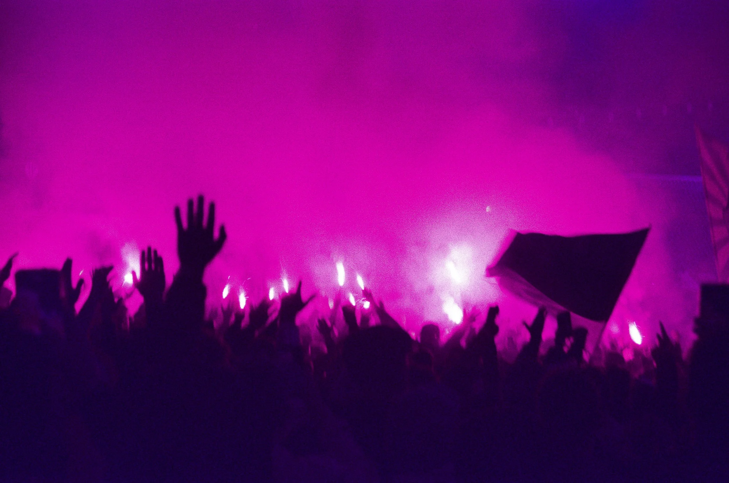 FORZA VIOLA