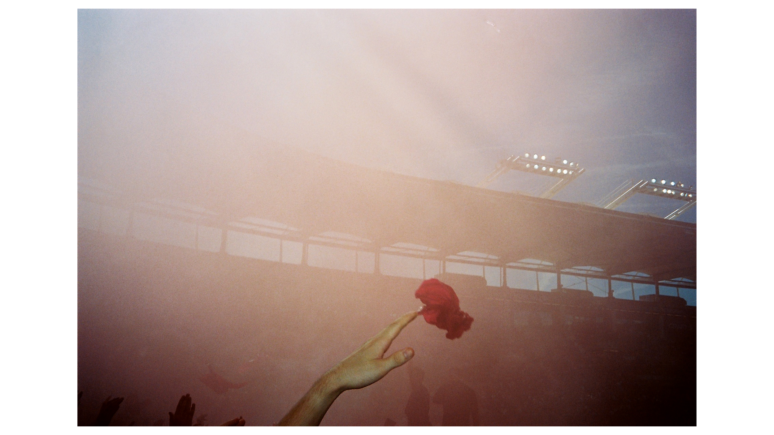 TFC - 6.png