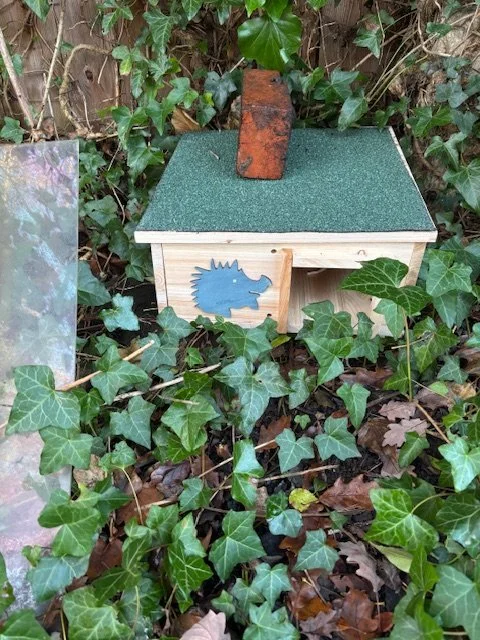 Hedgehog House