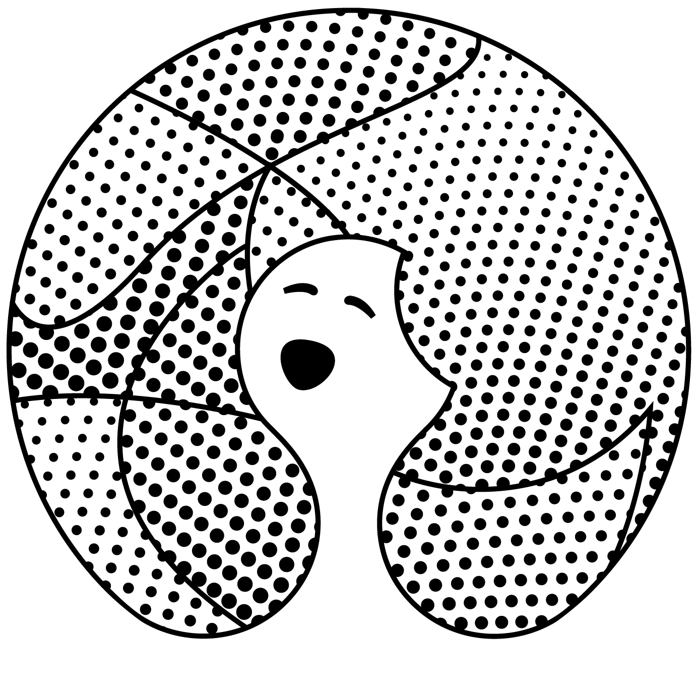 IVC 2.png