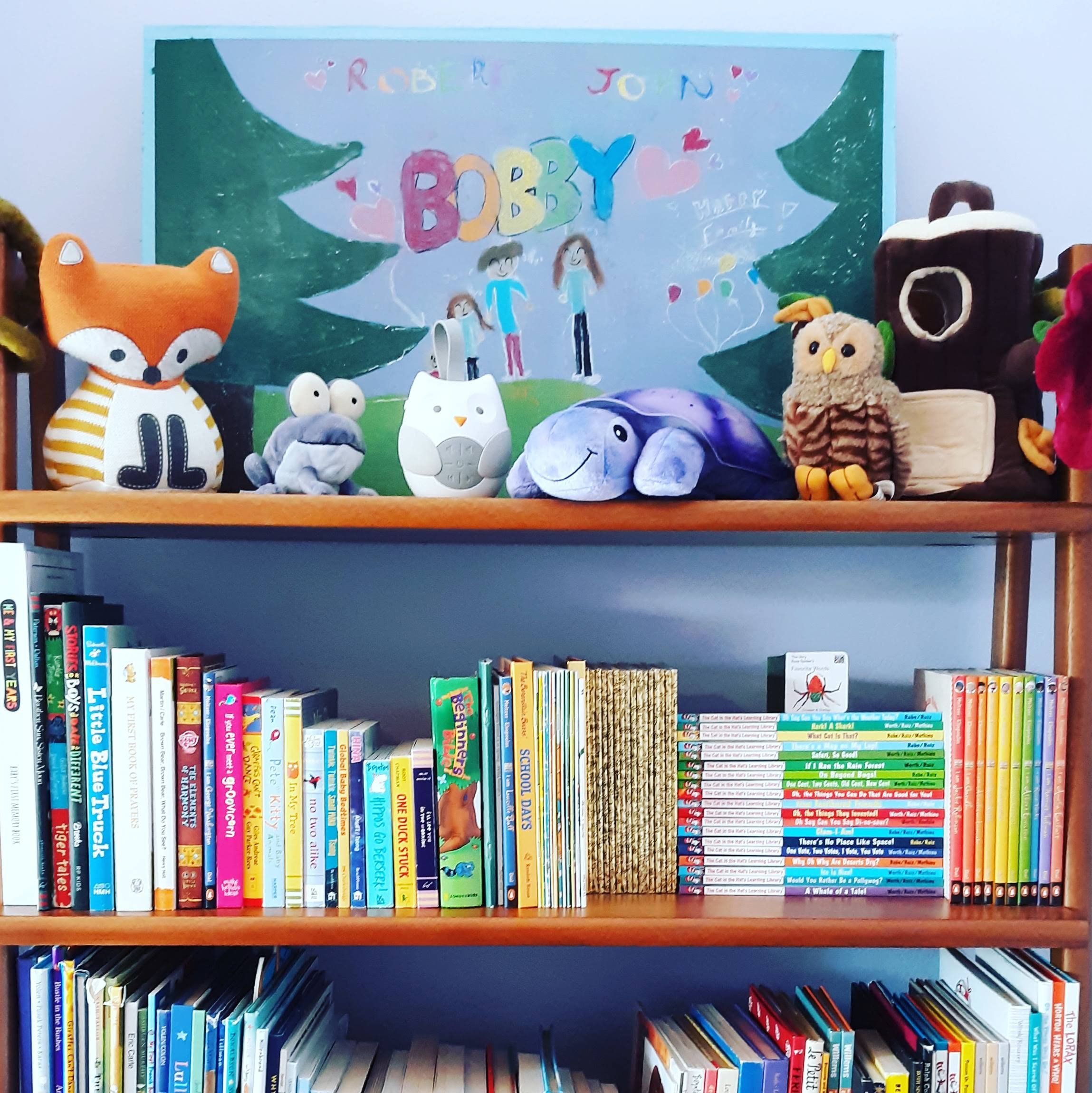Kids-room-bella-professional-organizing-berkele copy.jpg