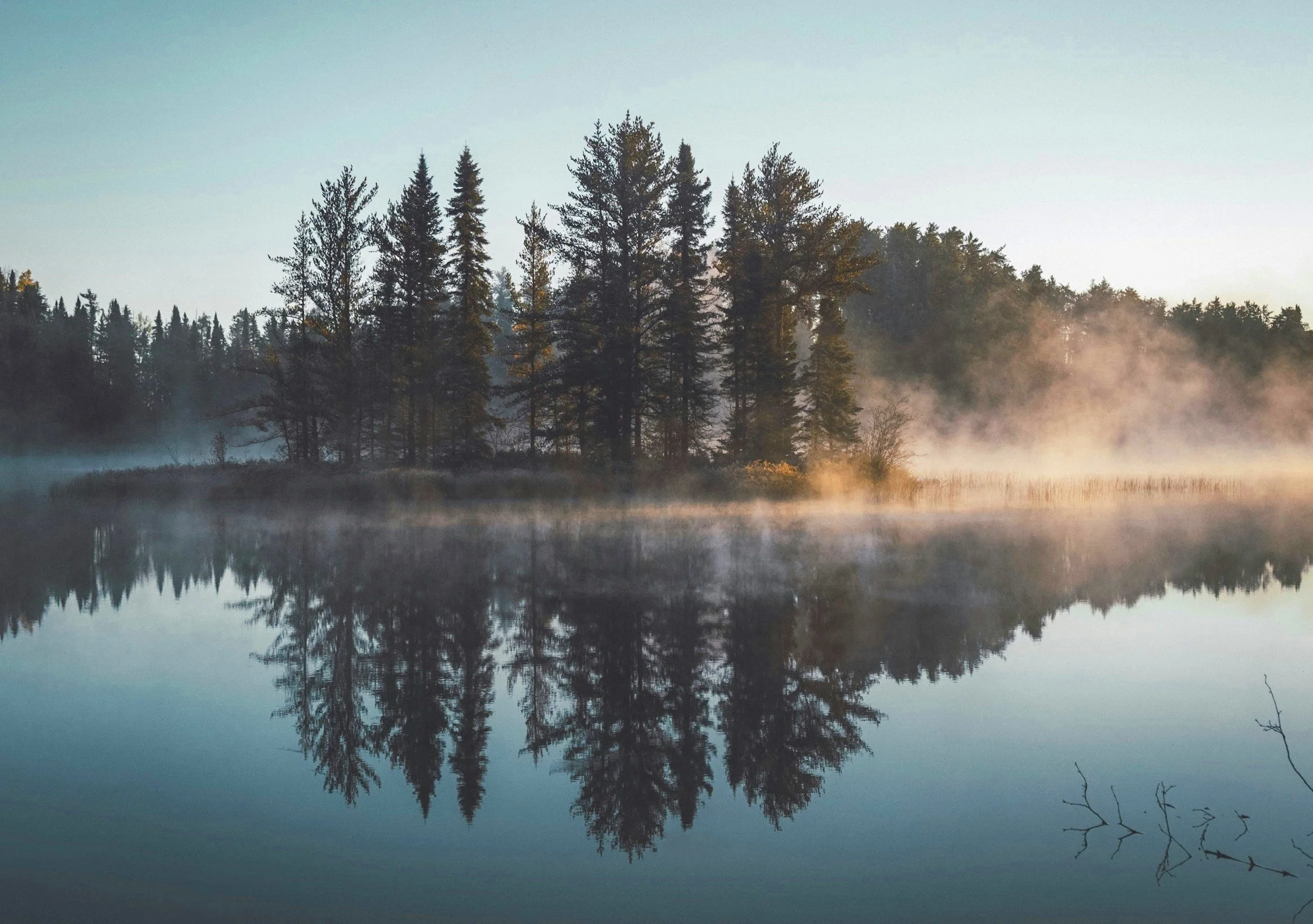 The Real Power: Presence, Love, and the Soft Strength of the Heart