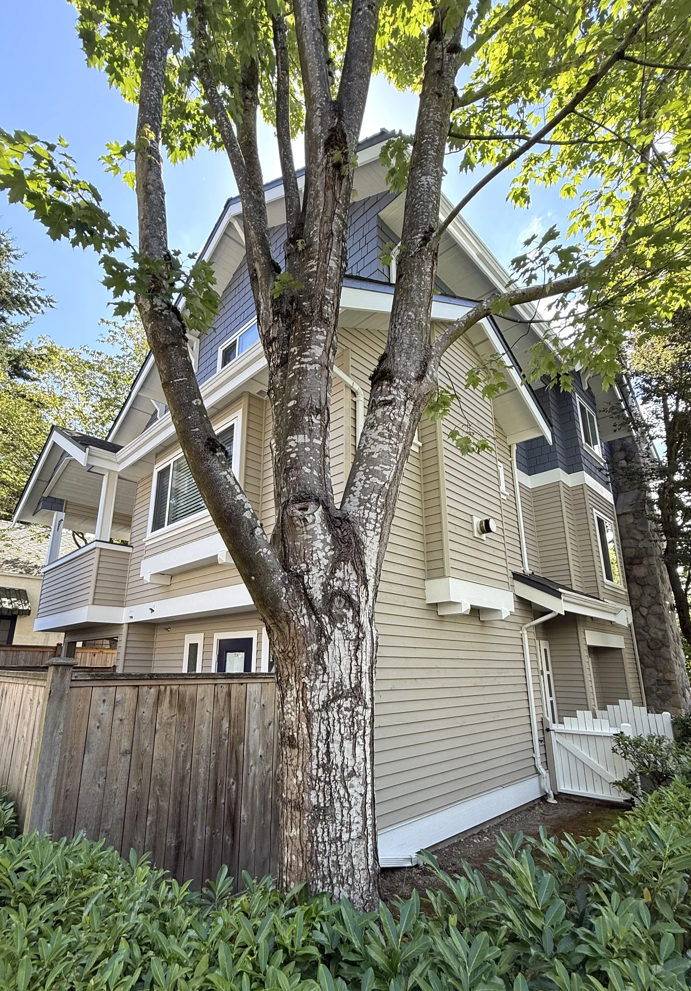 Triplex + Coach House - Kitsilano