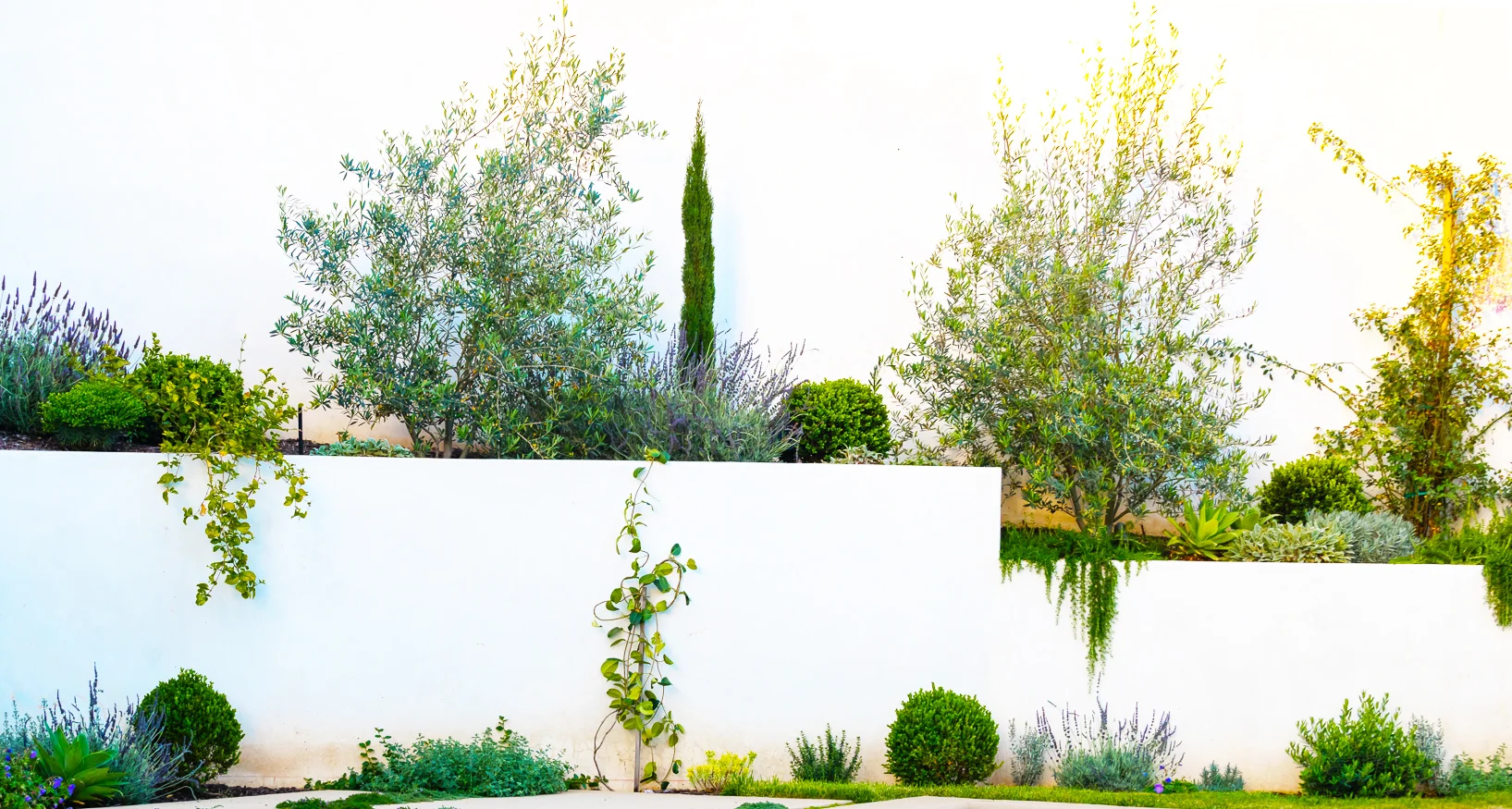 GRAYDONYEARICKARCHITECT.NEANDROSS.Wide back planter wall.jpg