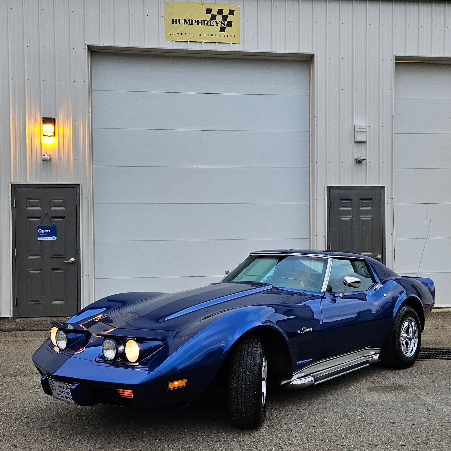 vette.jpg