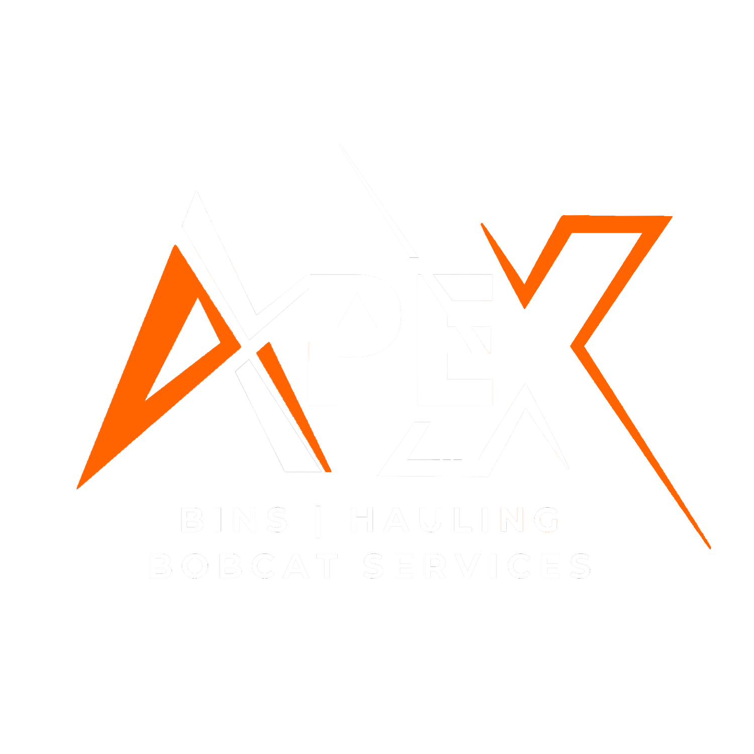 ApeX Bins