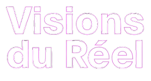 Vision du Réel