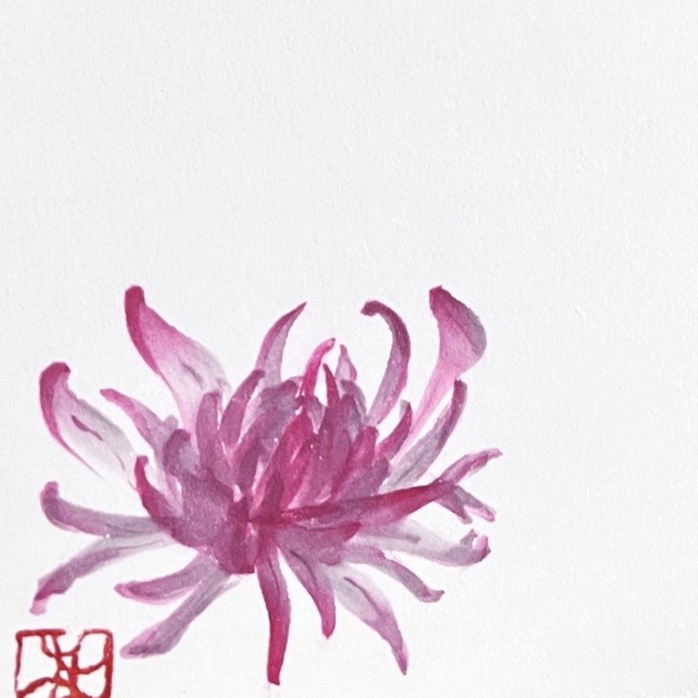 Vier Gentlemen: Chrysanthemen