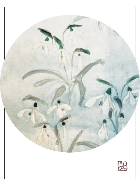 Snowdrop_use+this.jpg