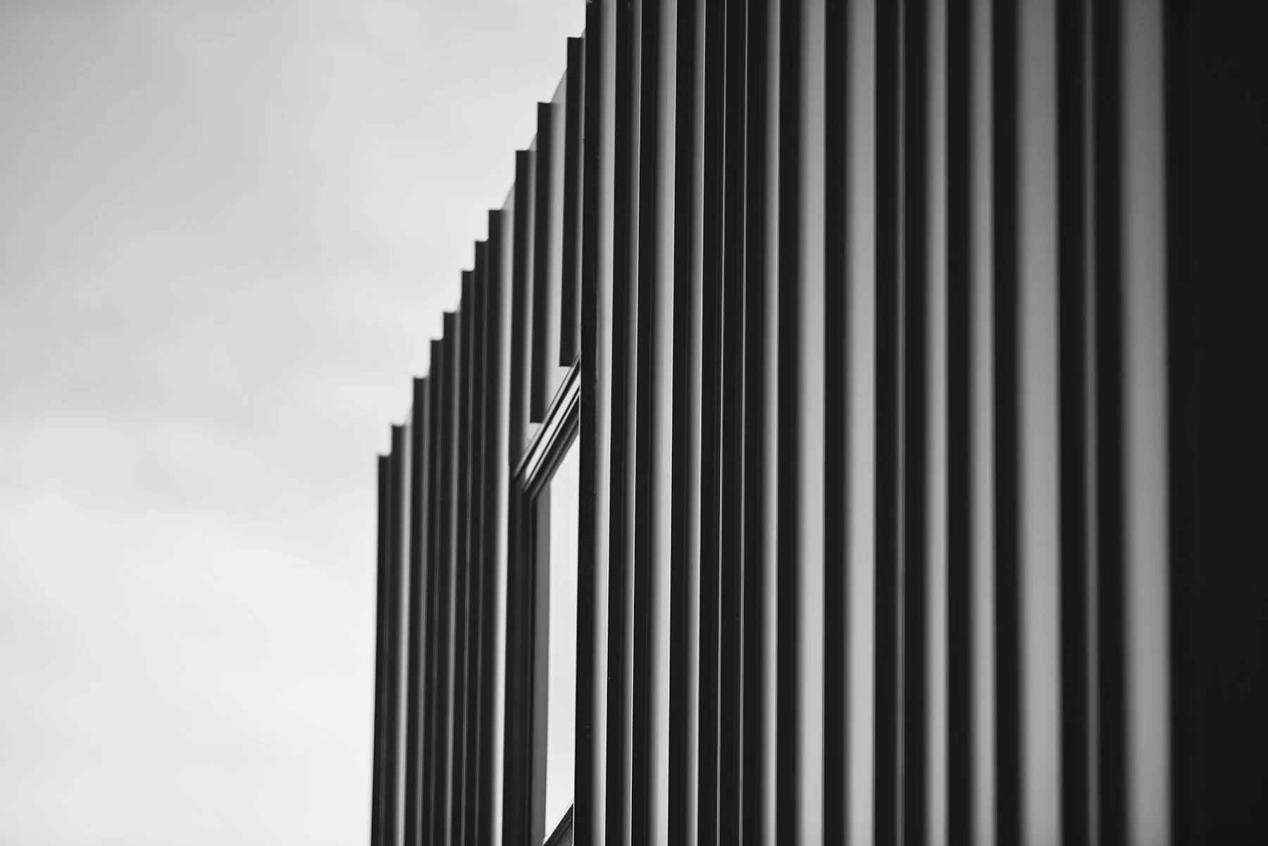 Balmain&Co_Rippon Grove_008 Exterior Detail (1).jpg