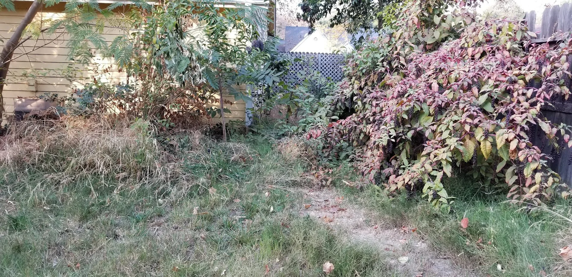 20181119_085400.jpg