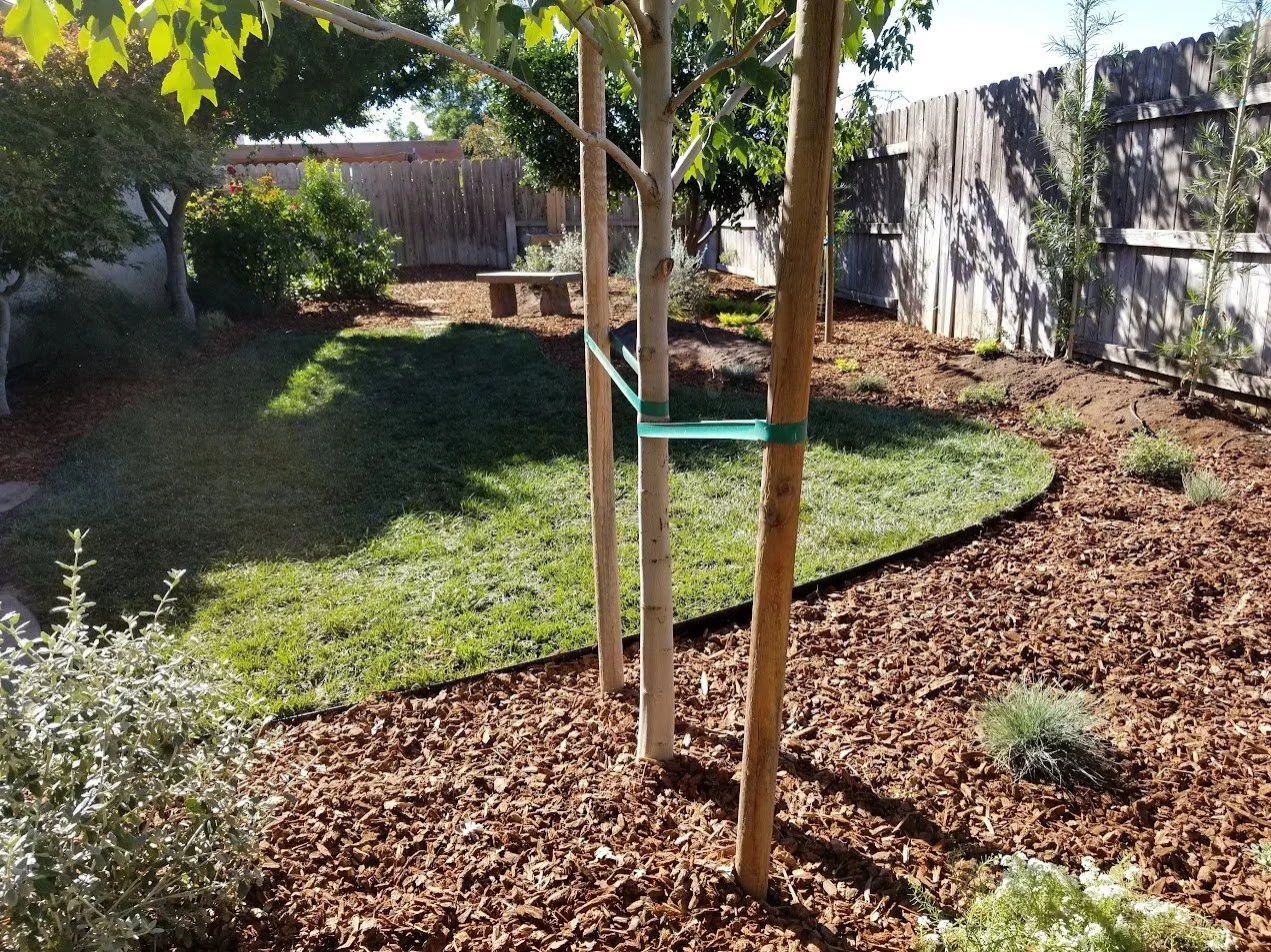 20181016_110341.jpg