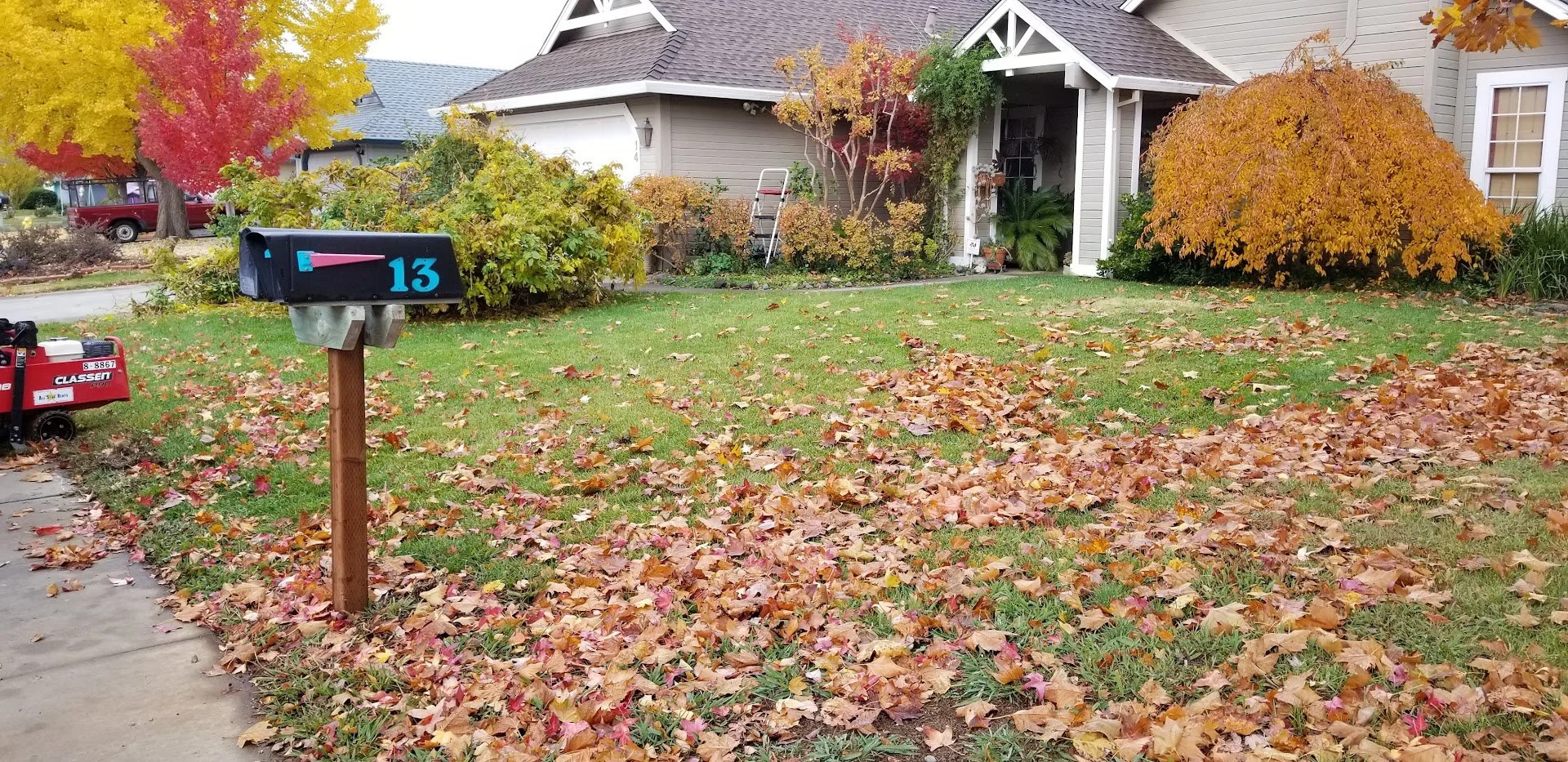 20181126_090143.jpg