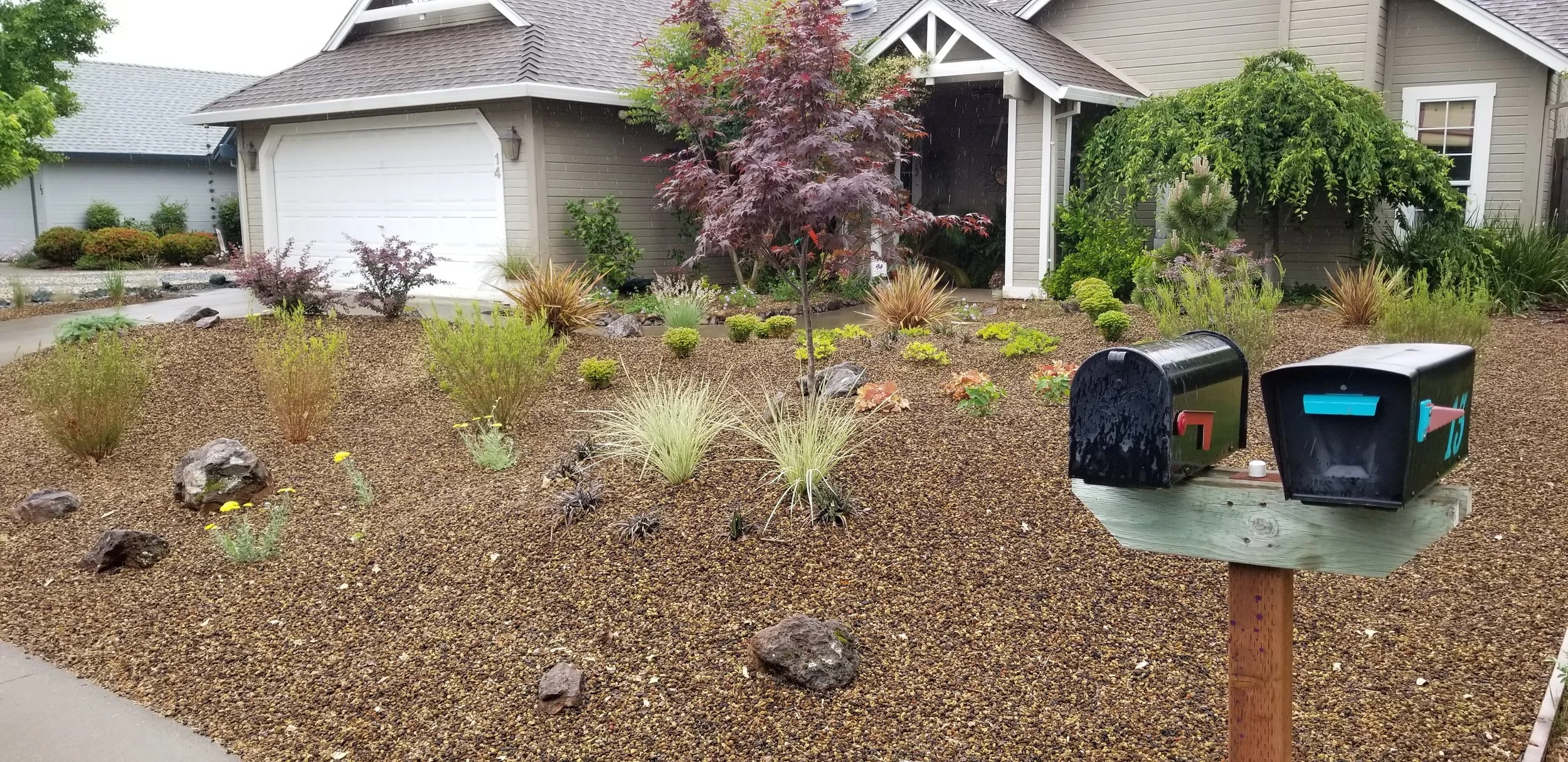 20190515_094517.jpg