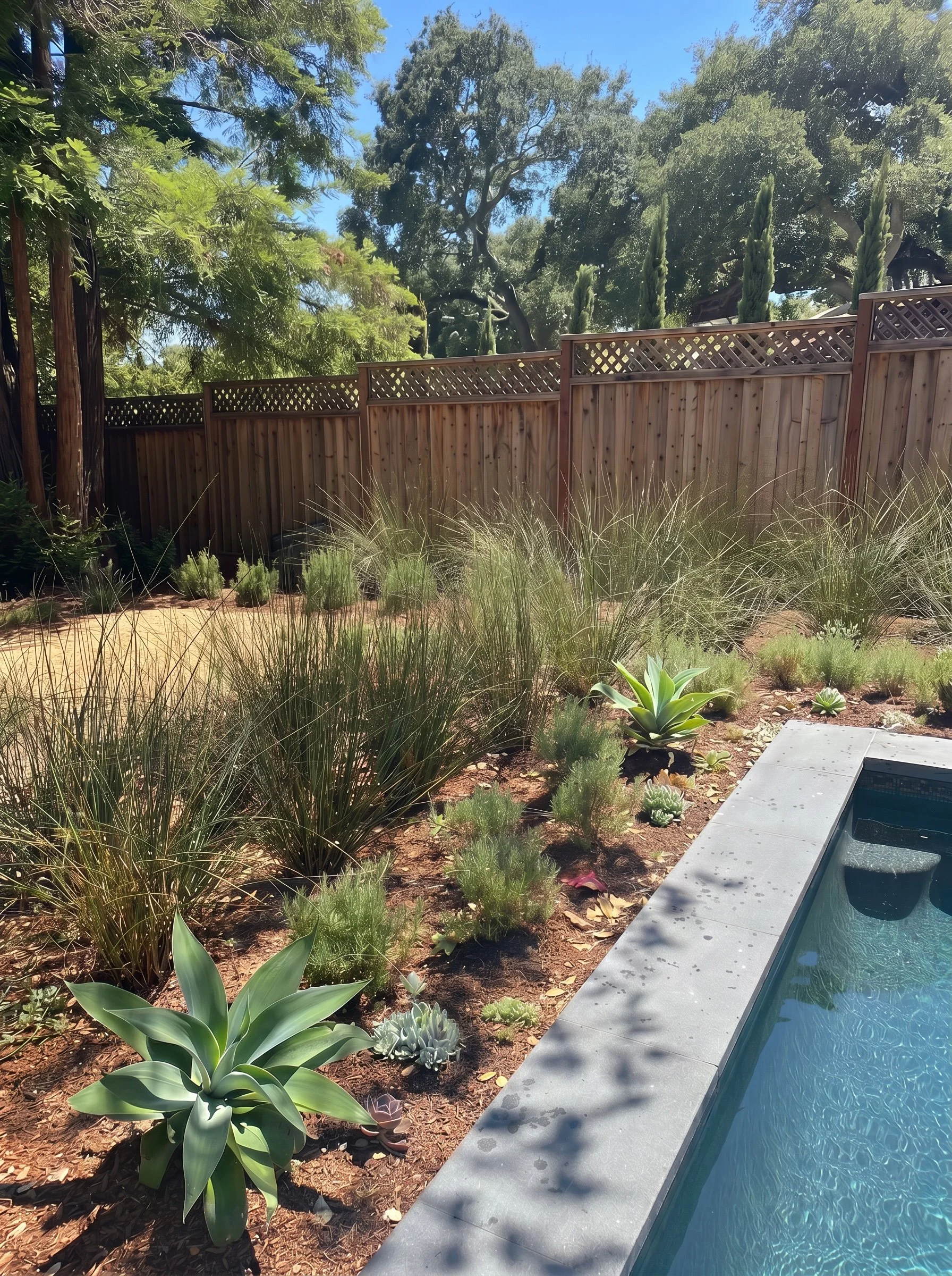 930 Pool & DG.jpg