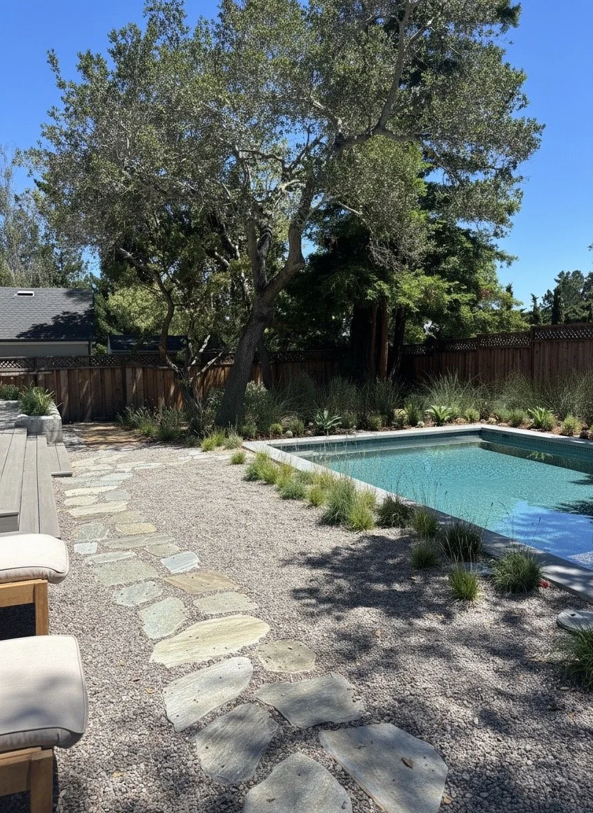 Backyard 1.JPG