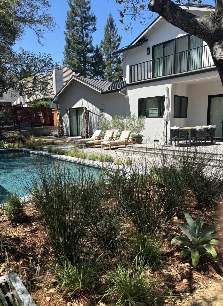 Backyard 2.JPG