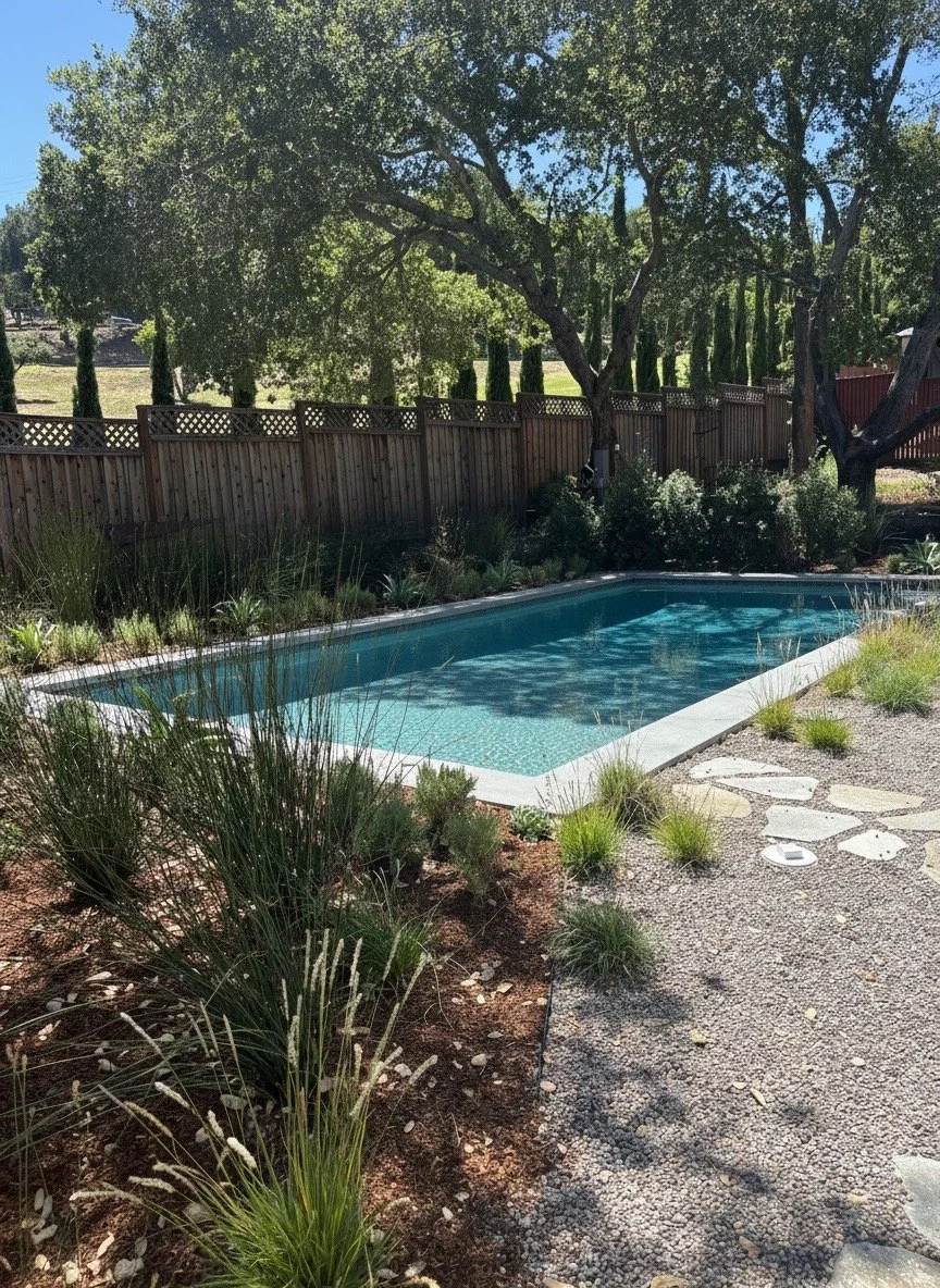 Pool and Pool Eq..JPG
