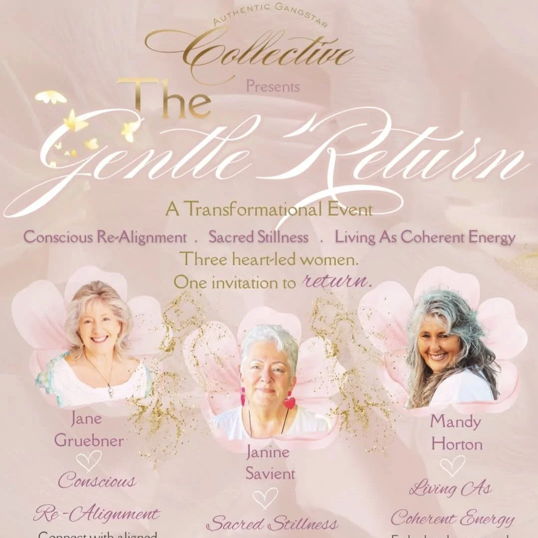 The Gentle Return, Auckland, New Zealand