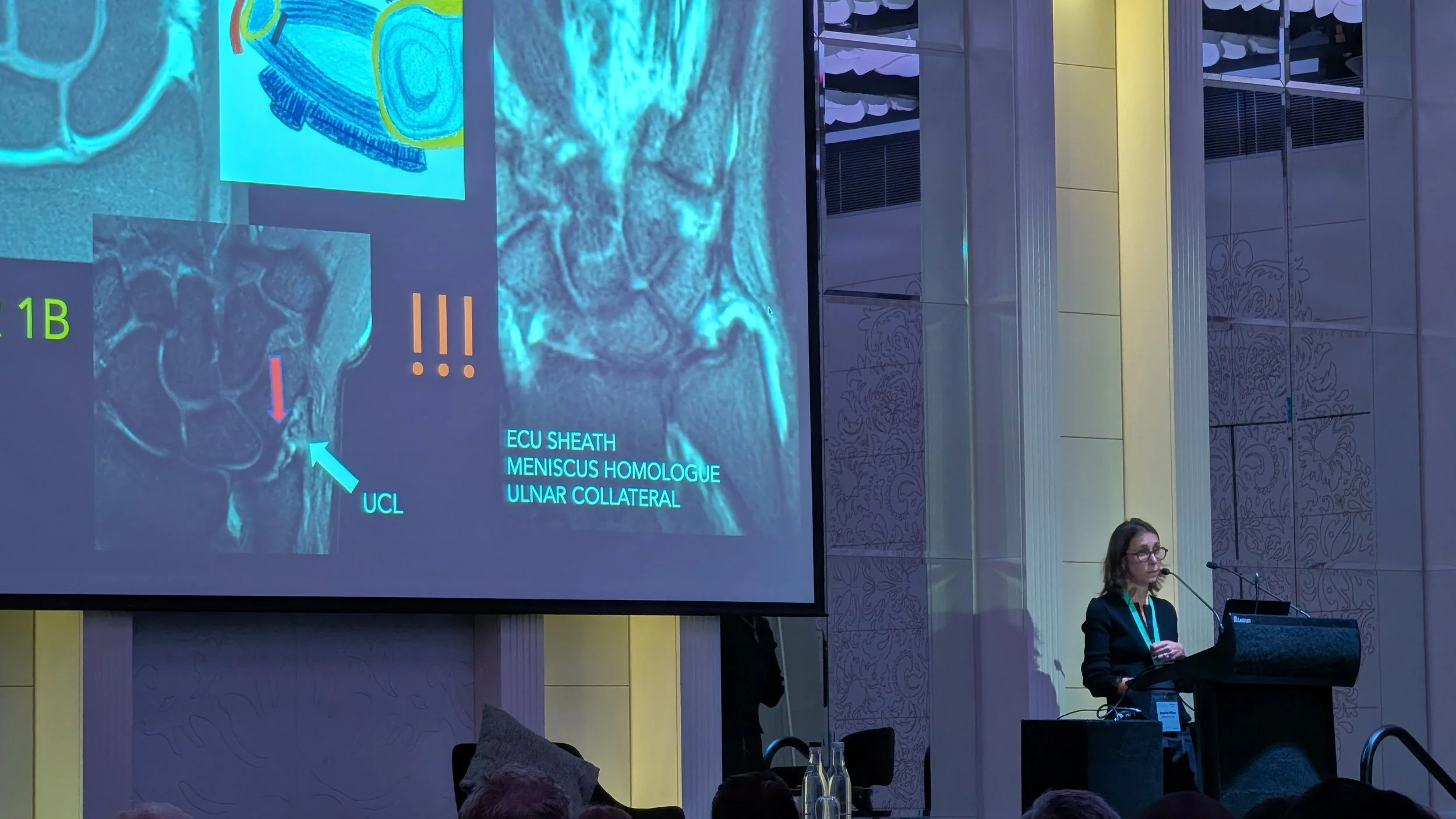 PXL_20260801_035904639 - Copy.jpg