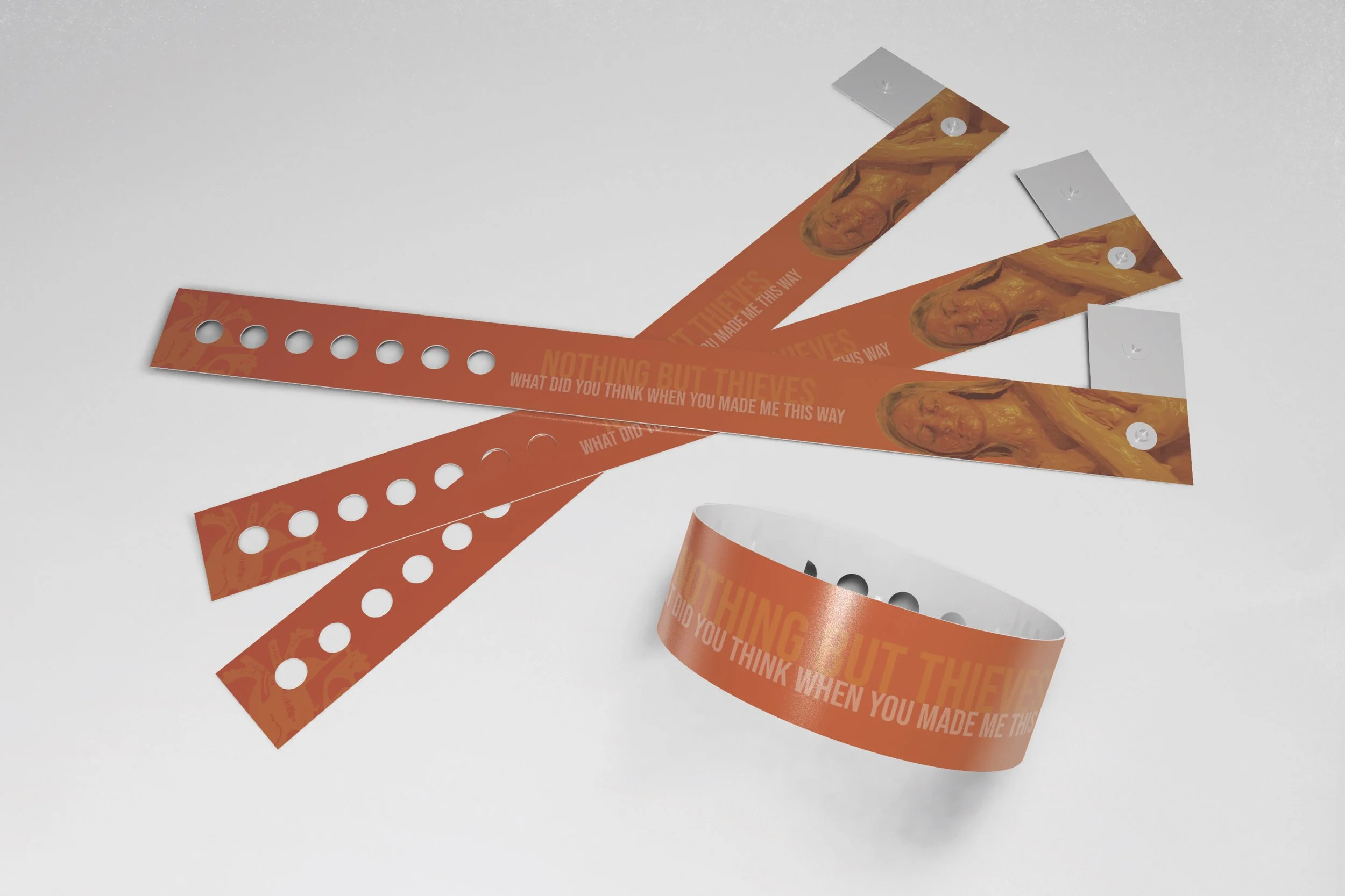 Wristbands for the concerts