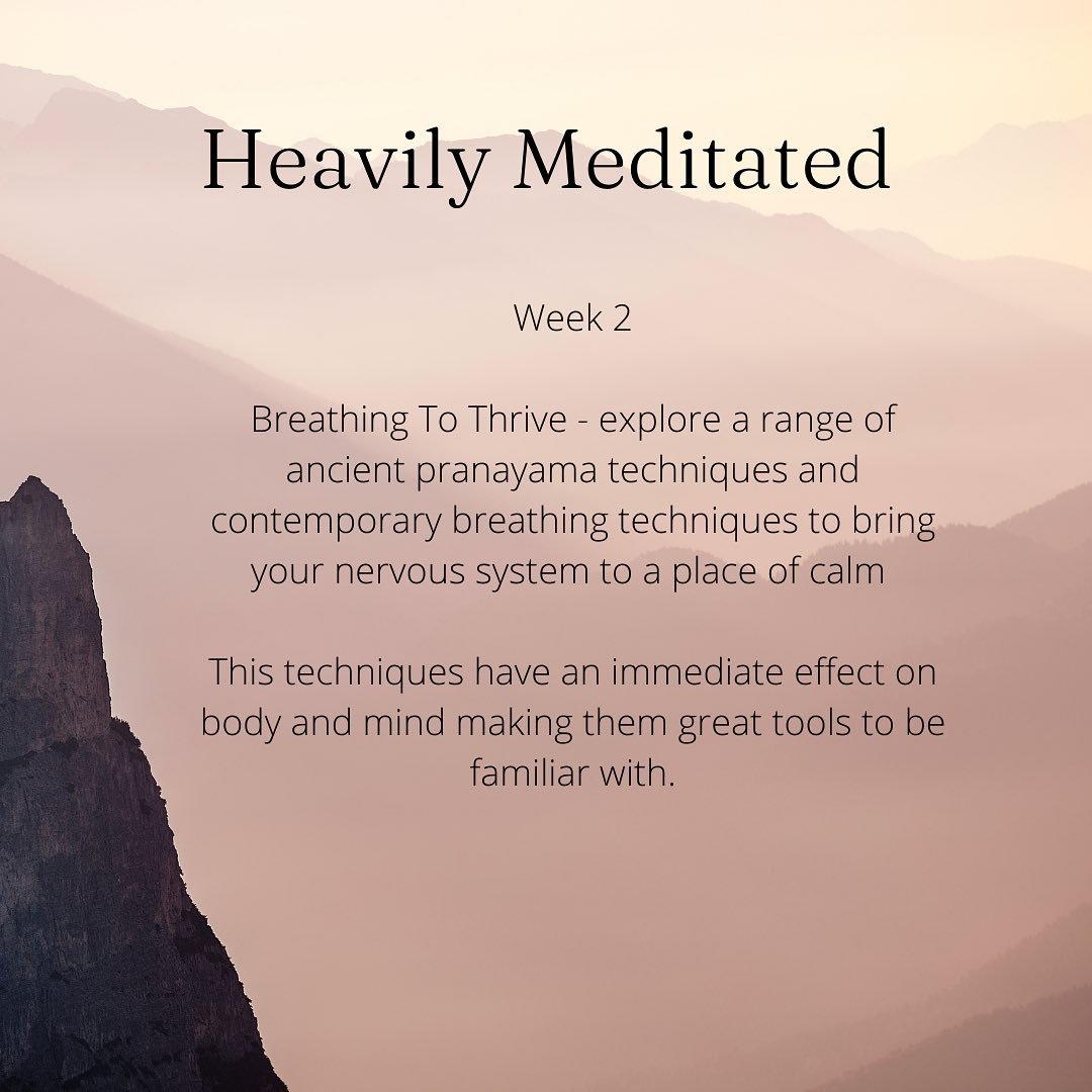 17 people joined in for last week&rsquo;s Breath Awareness Meditation.

This week we will explore an range of pranayama techniques to sooth the nervous system.

See you there.

#pranayama
#betterliving
#health
#wellbeing
#breath
#breathwork
#wimhof
#