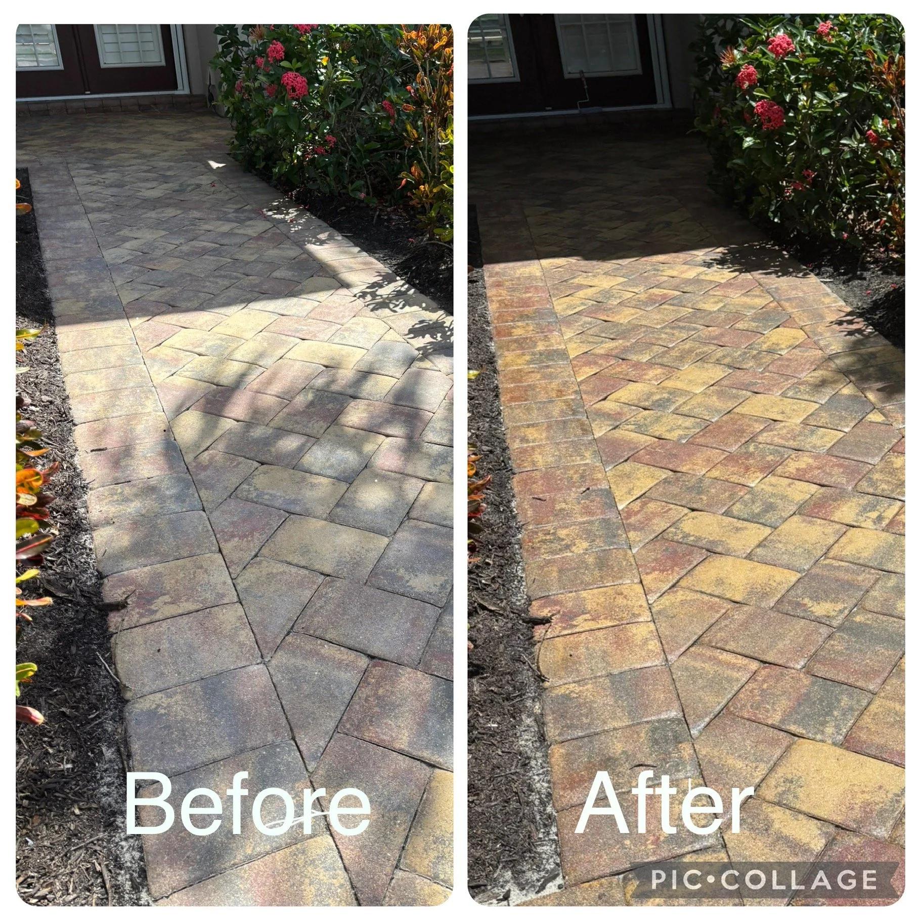 Comparison of a concrete walkway before and after cleaning and staining. The sidewalk is wide with a curved edge, bordered by soil and plants with pink flowers on one side. The 'before' image shows the walkway with a dull, grayish appearance, while the 'after' image shows the same walkway with brighter, cleaner, and more colorful stones.