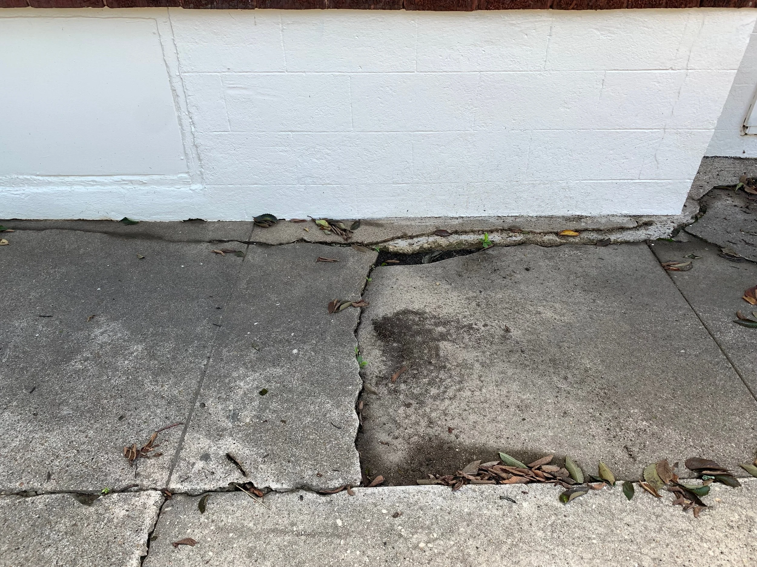 Level Cement Surface Surrounding Your House