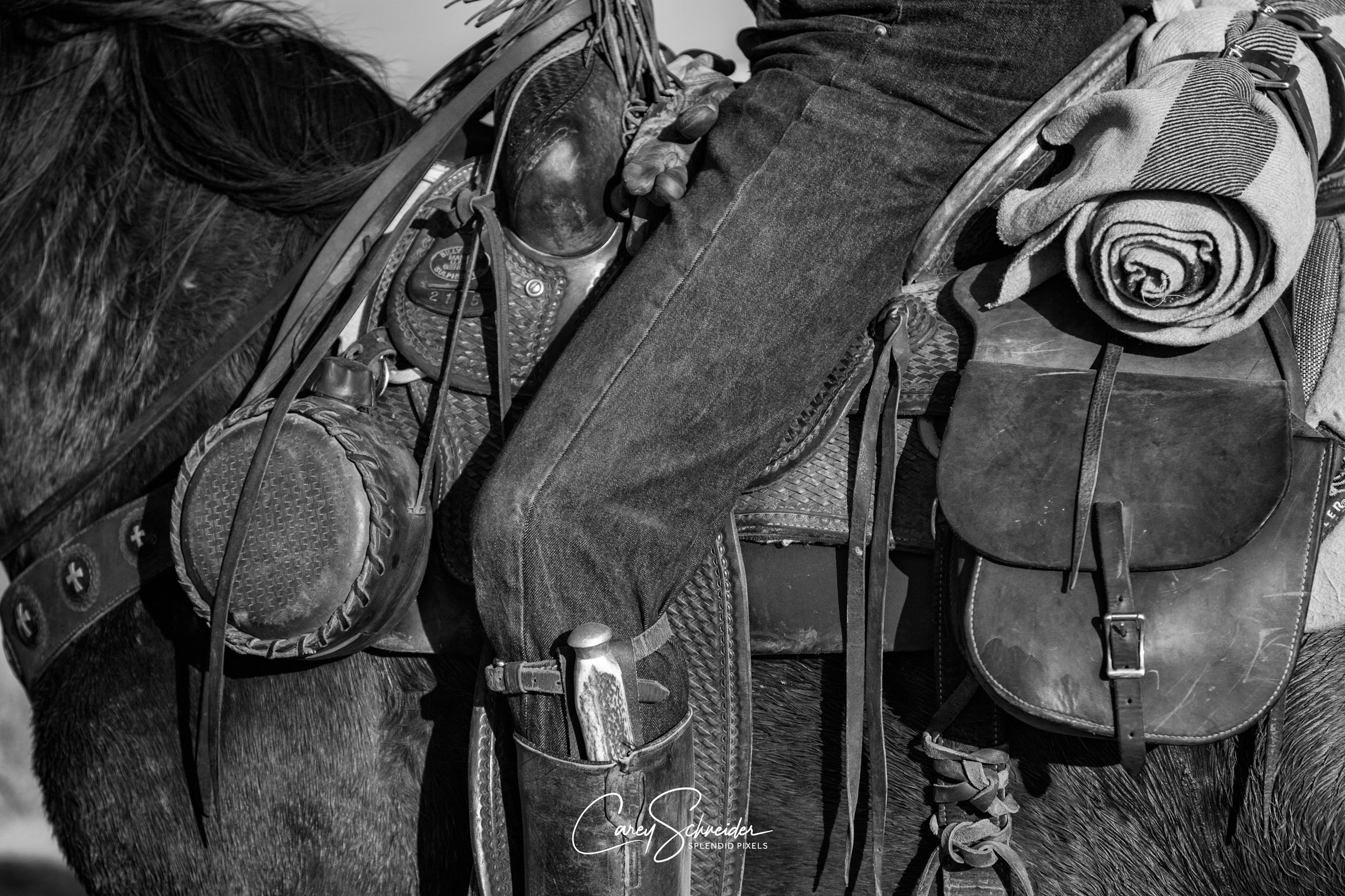 "READY TO RIDE"