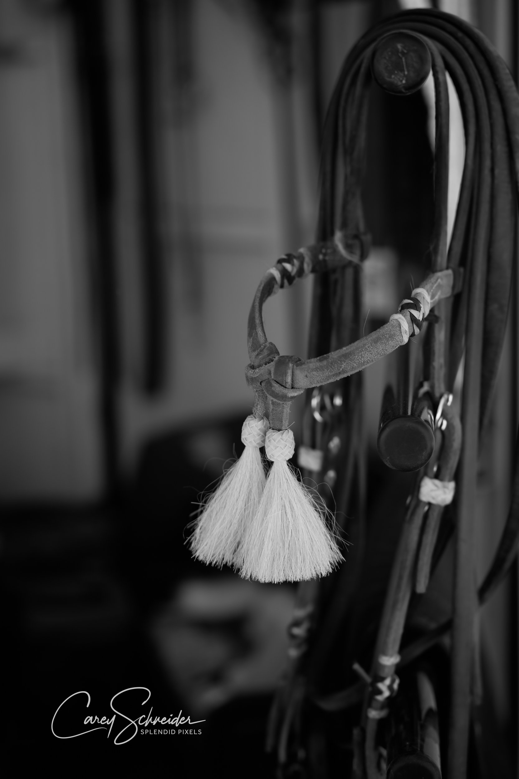 "BRIDLE BLING"