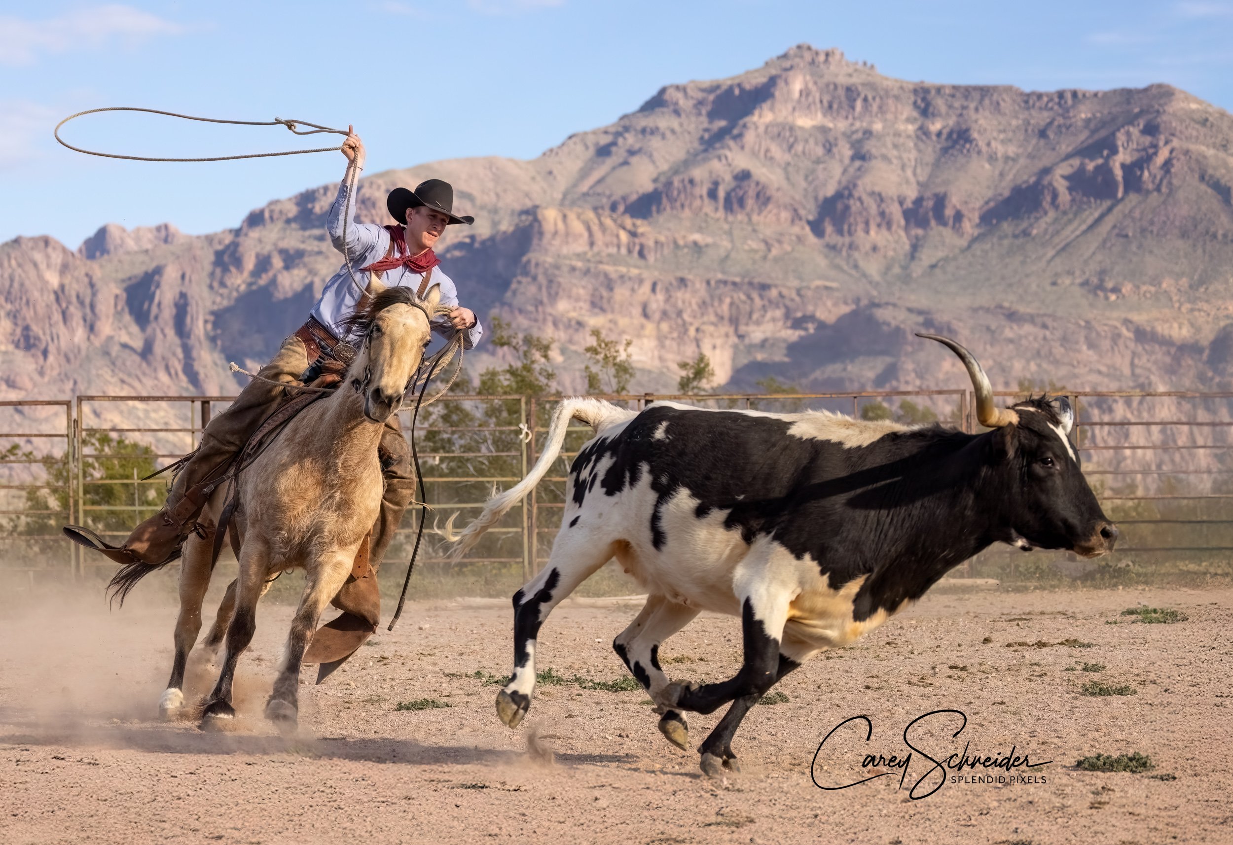 "COWBOY WORK"