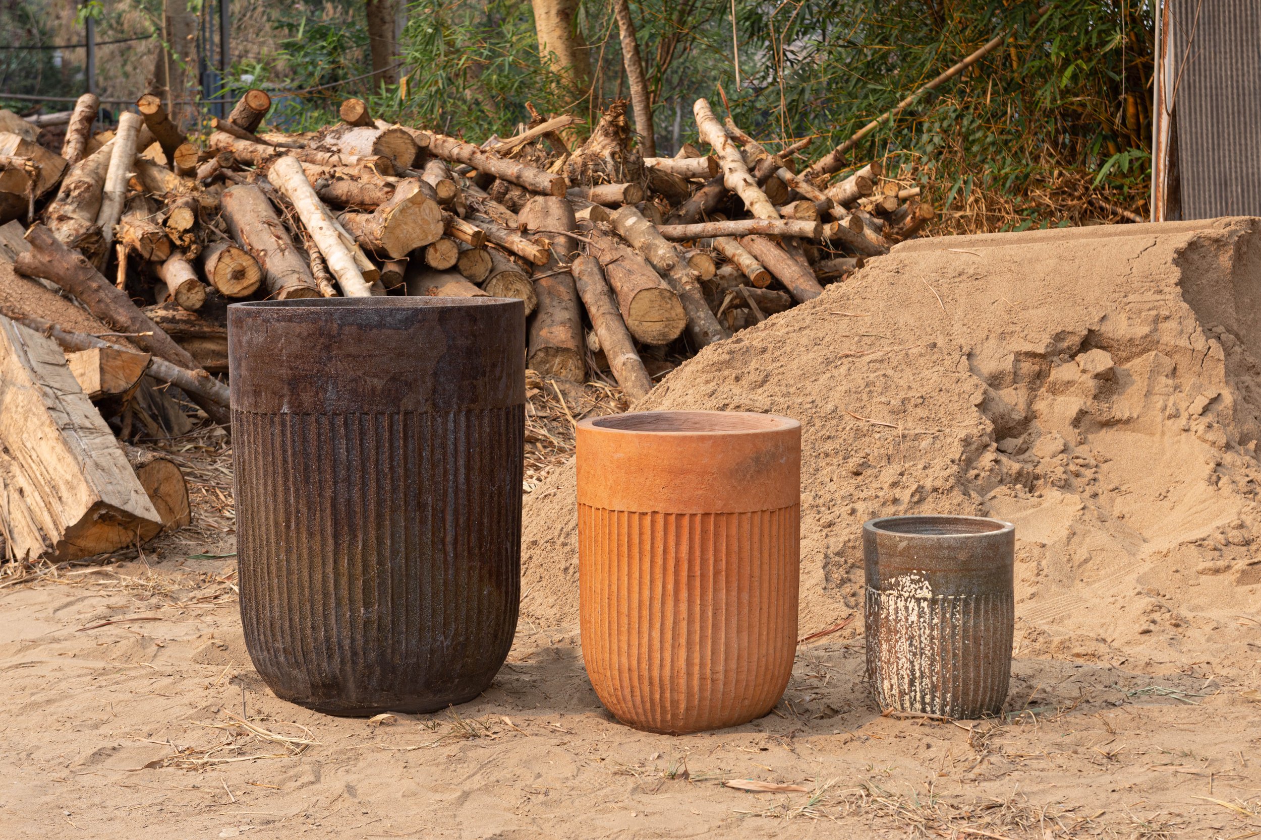 Banksia_lineup.jpg