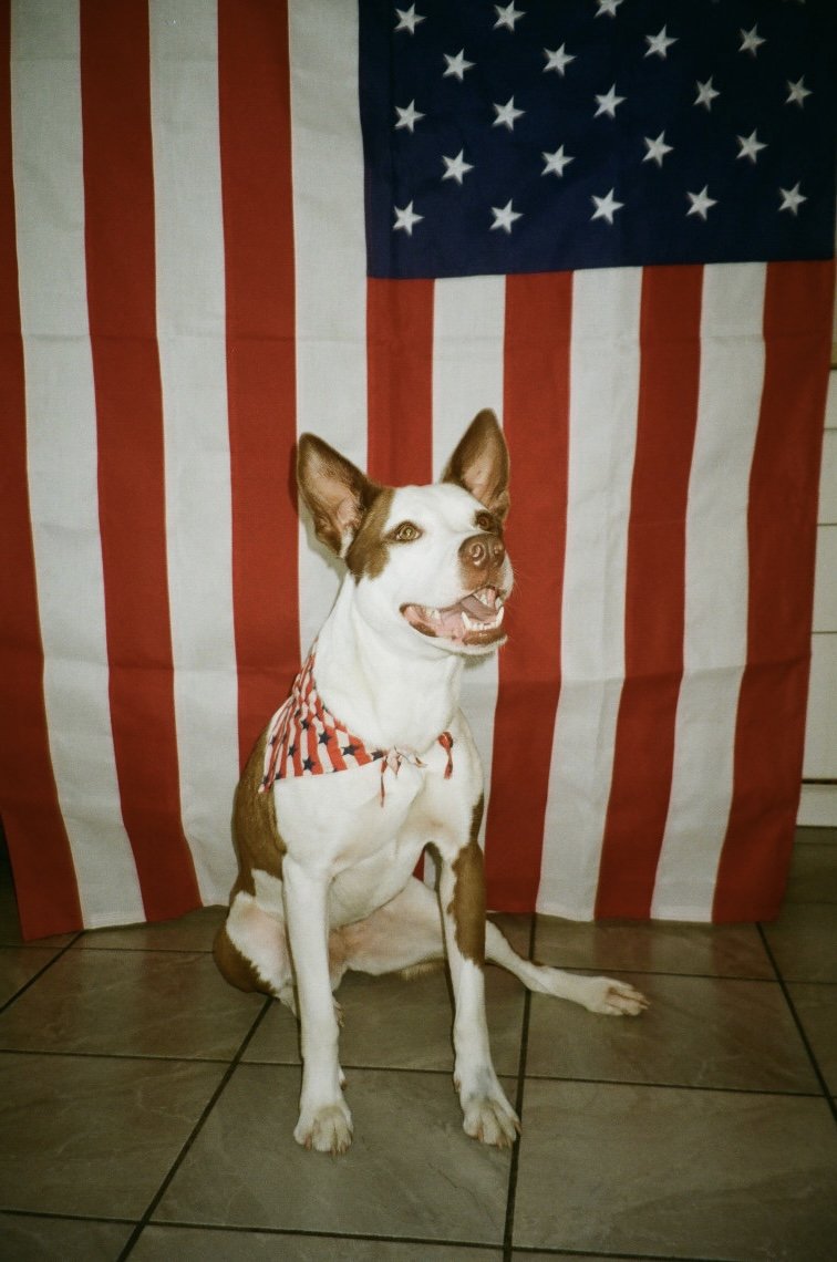 63427868_1004315_d1affb5353fef3365f3d1991770b1172_lg.jpg