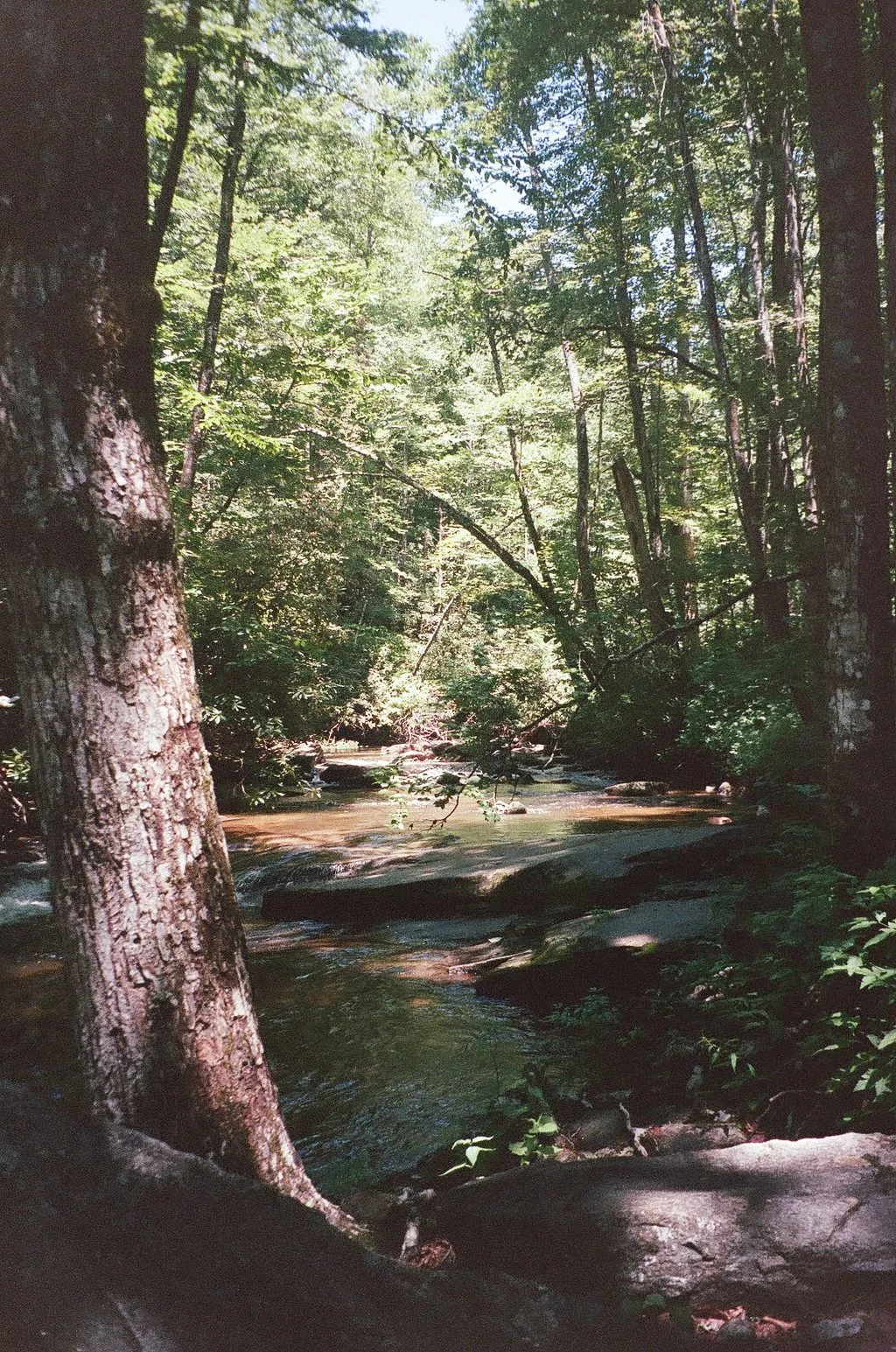 000214110035 copy-2.jpg